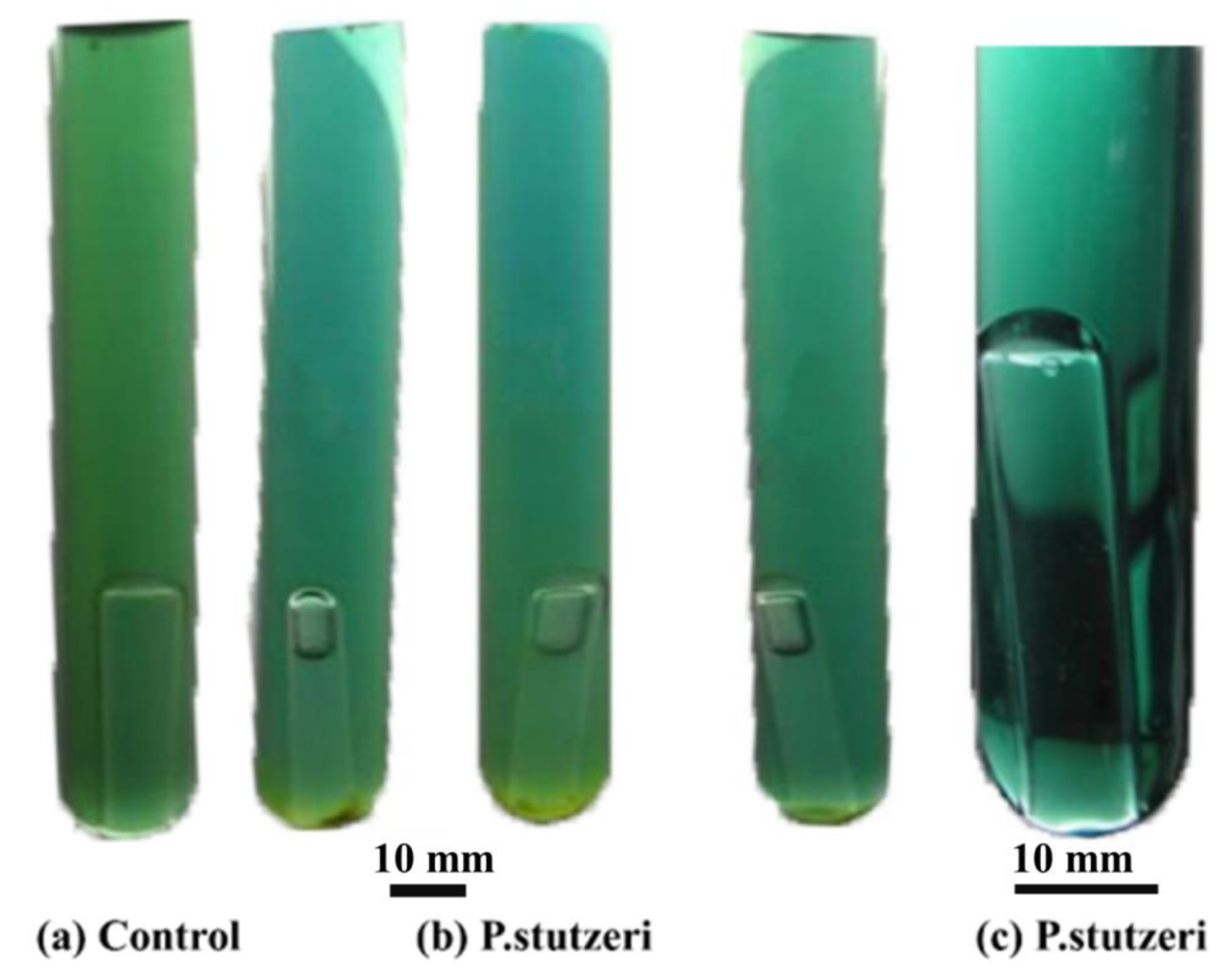 Materials 16 02896 g002 Materials 16 02896 g002