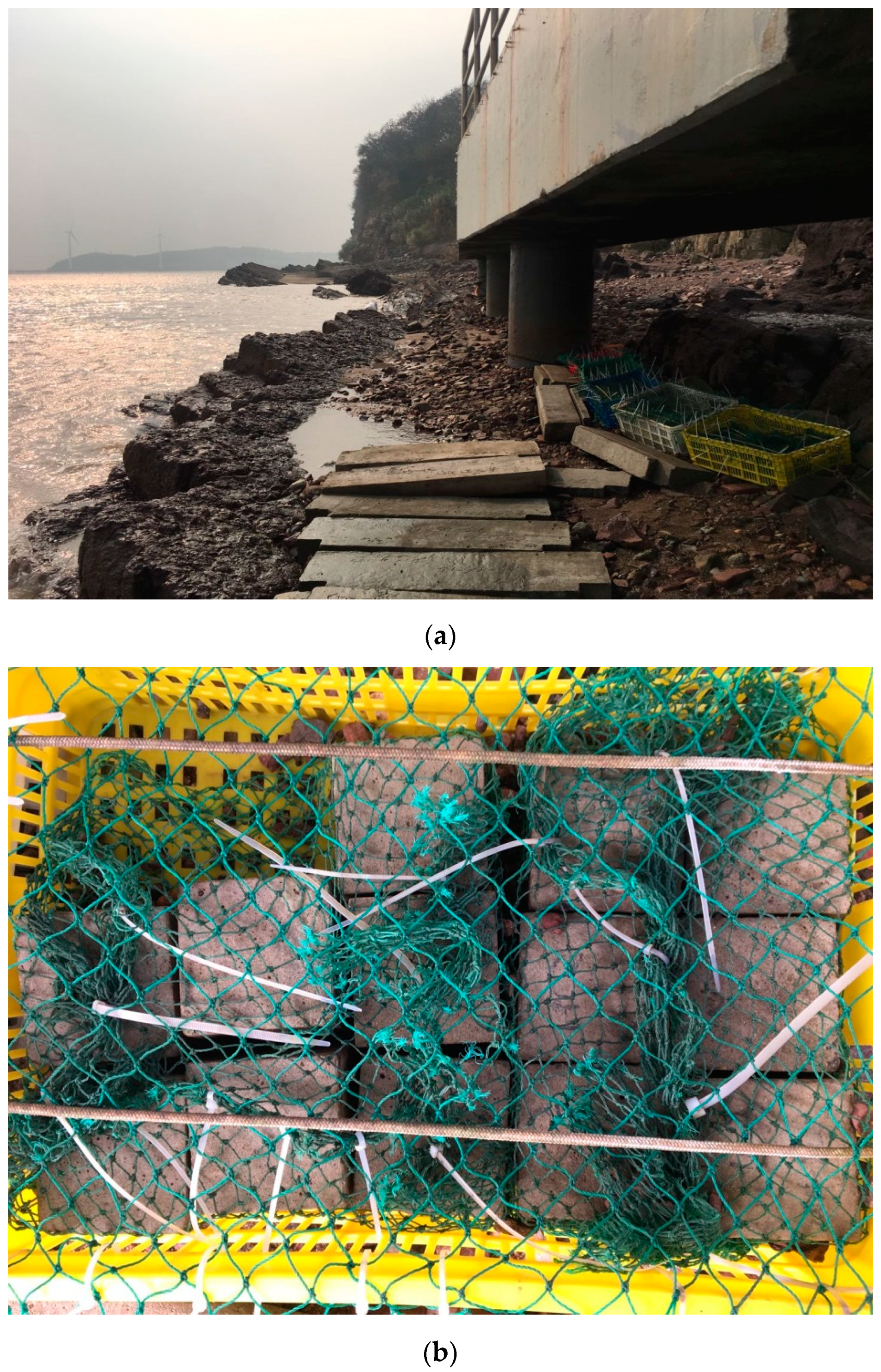 Materials 16 02905 g002 Materials 16 02905 g002