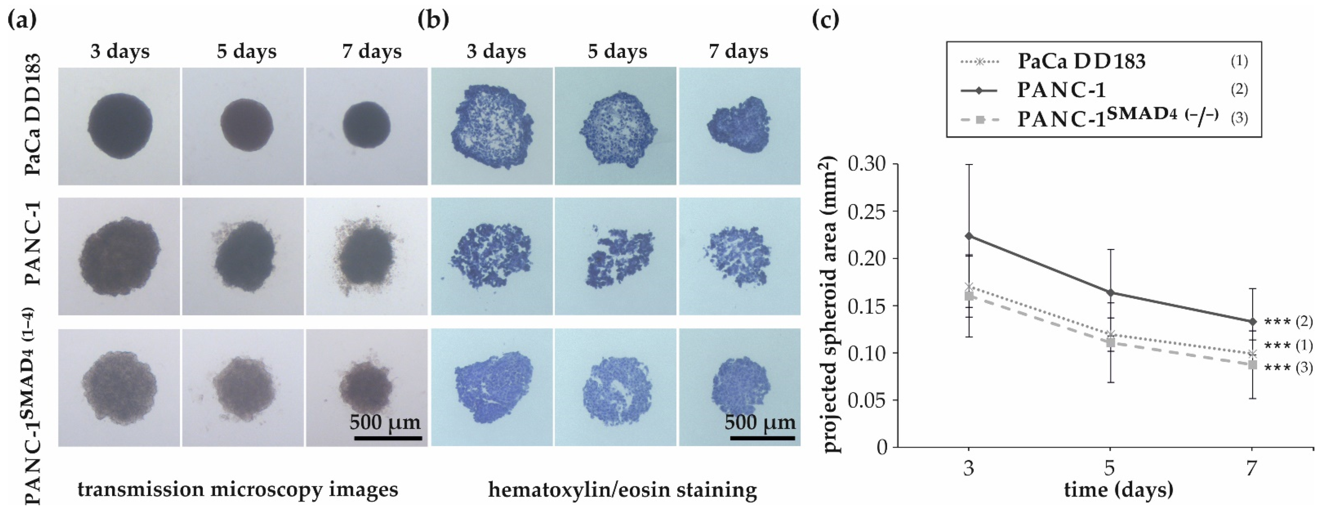 Materials 16 02906 g001 Materials 16 02906 g001