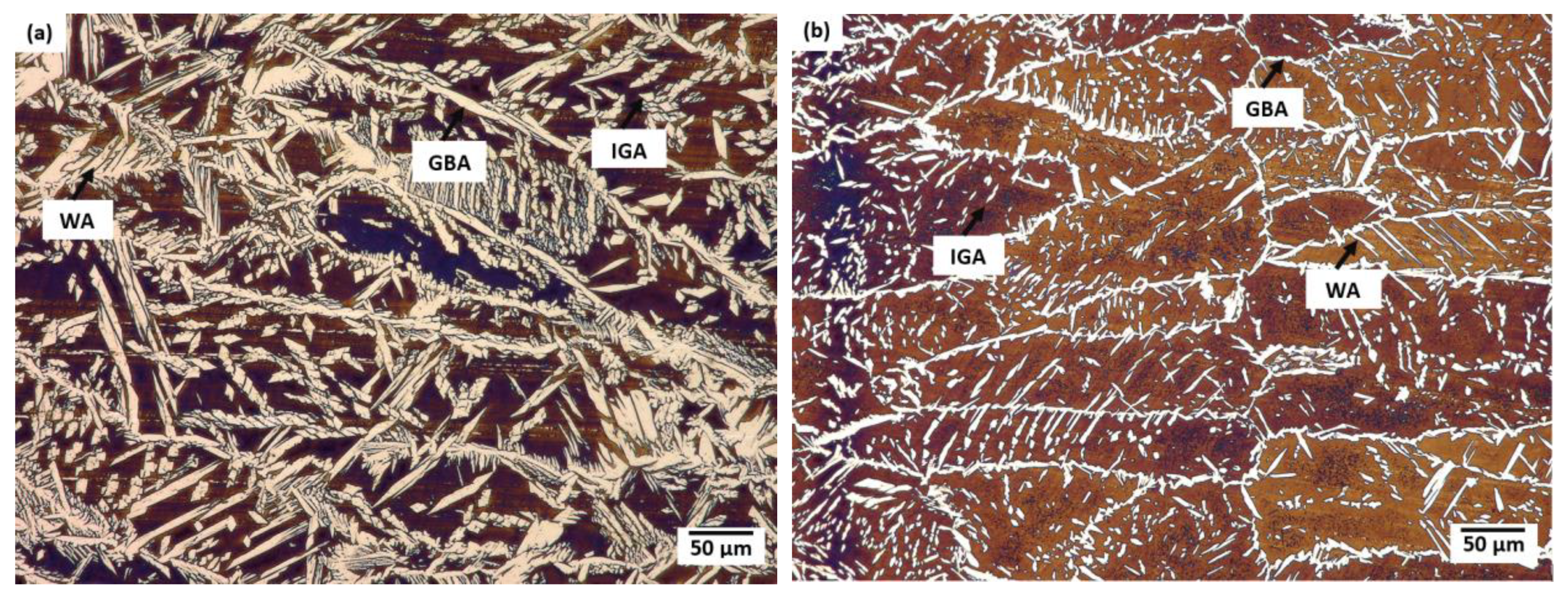 Materials 16 02909 g005