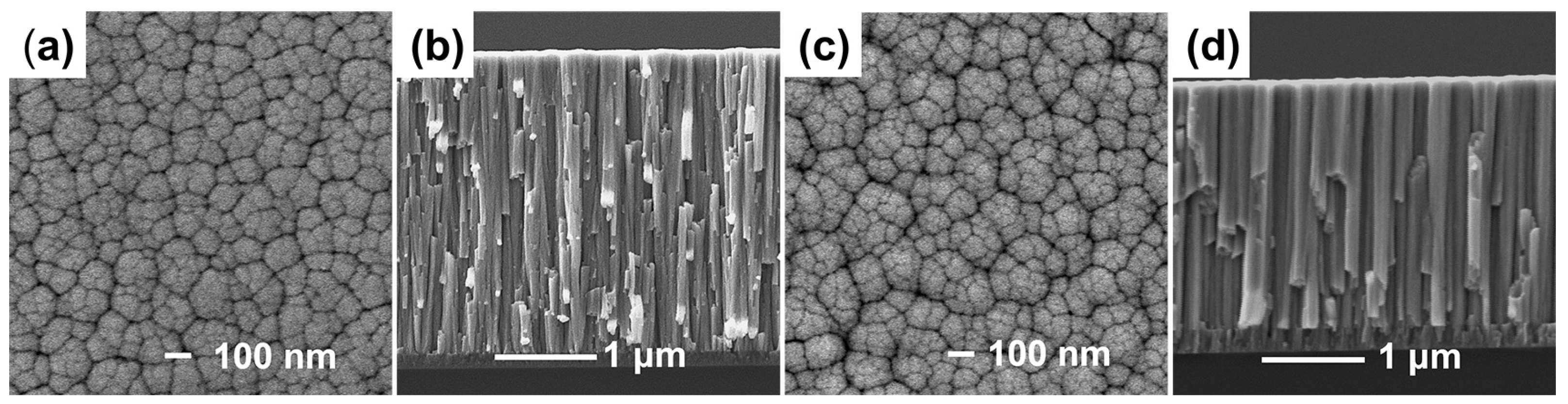 Materials 16 02916 g005 Materials 16 02916 g005