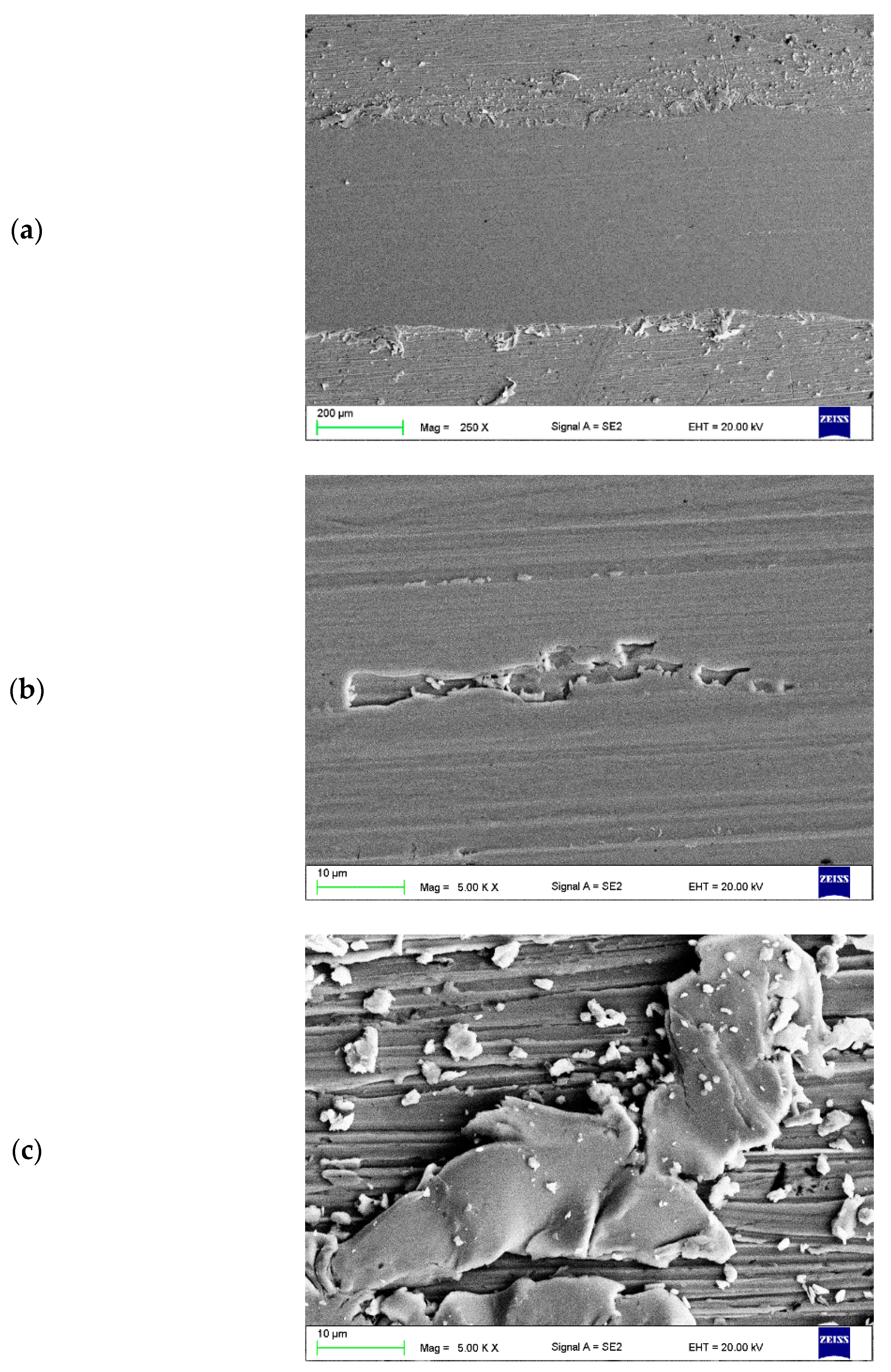 Materials 16 02941 g015 Materials 16 02941 g015
