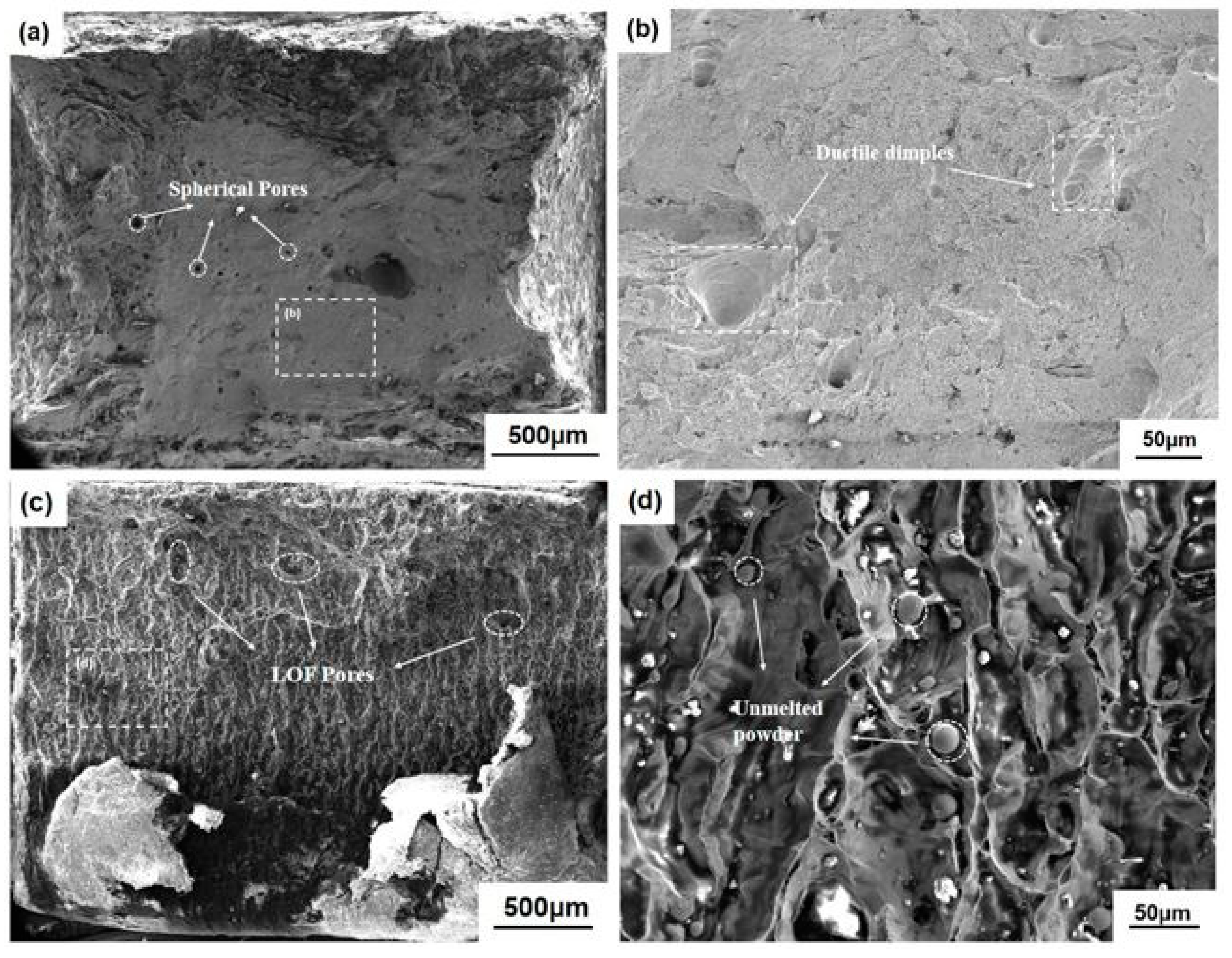 Materials 16 02956 g011 Materials 16 02956 g011