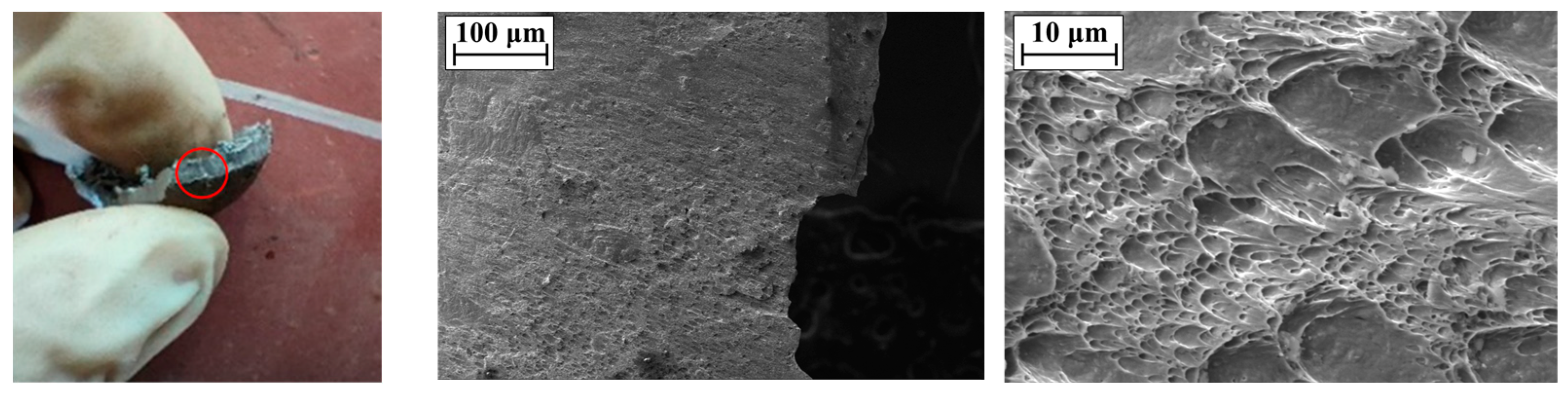 Materials 16 02966 g012