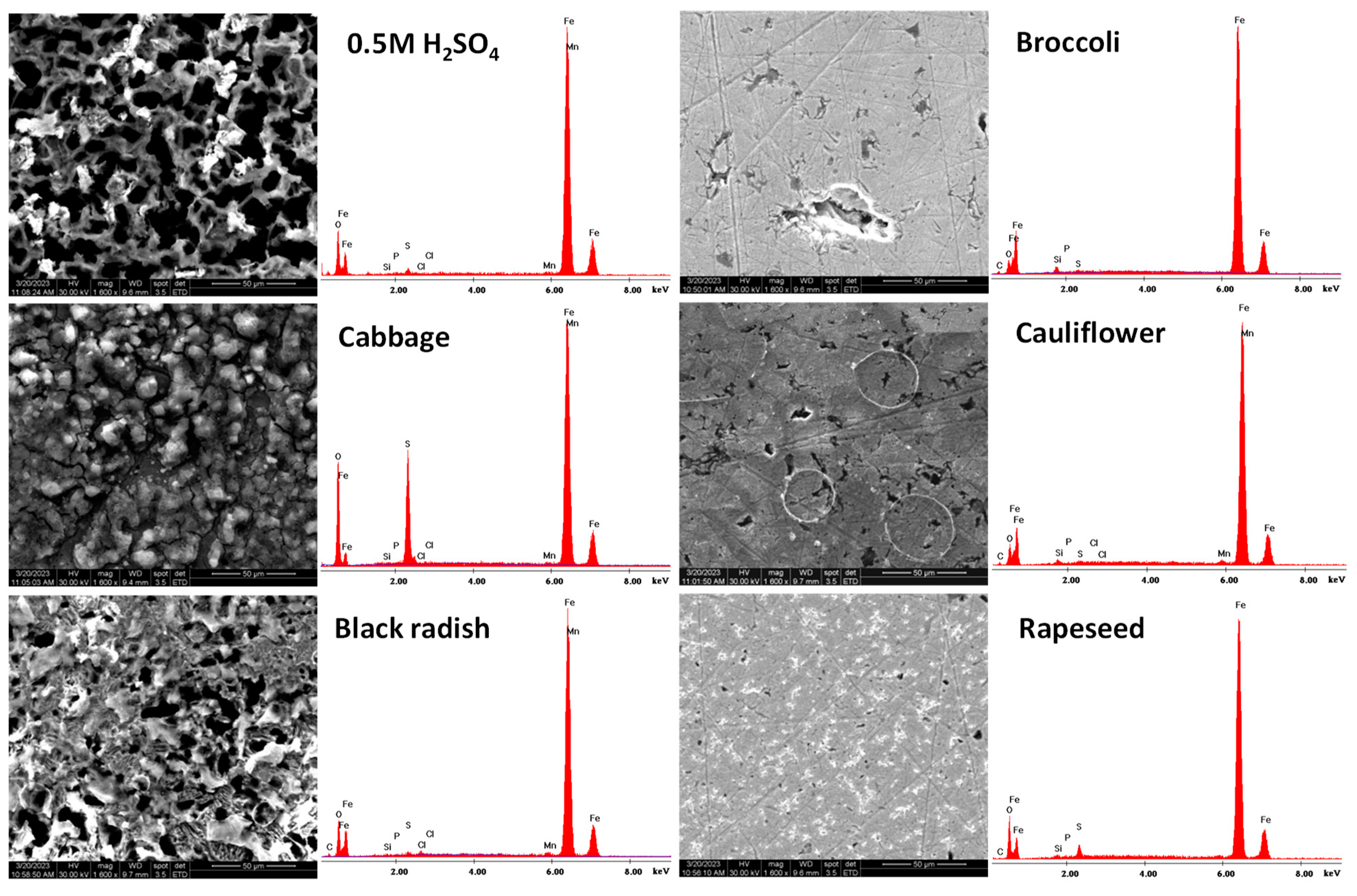 Materials 16 02967 g006