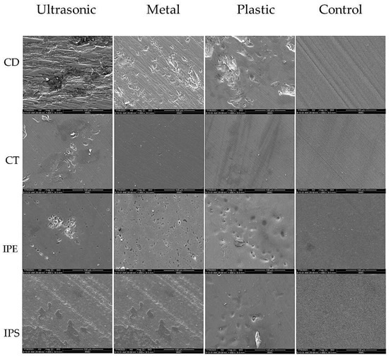 Effect of Different Scaling Methods on the Surface Topography of ...