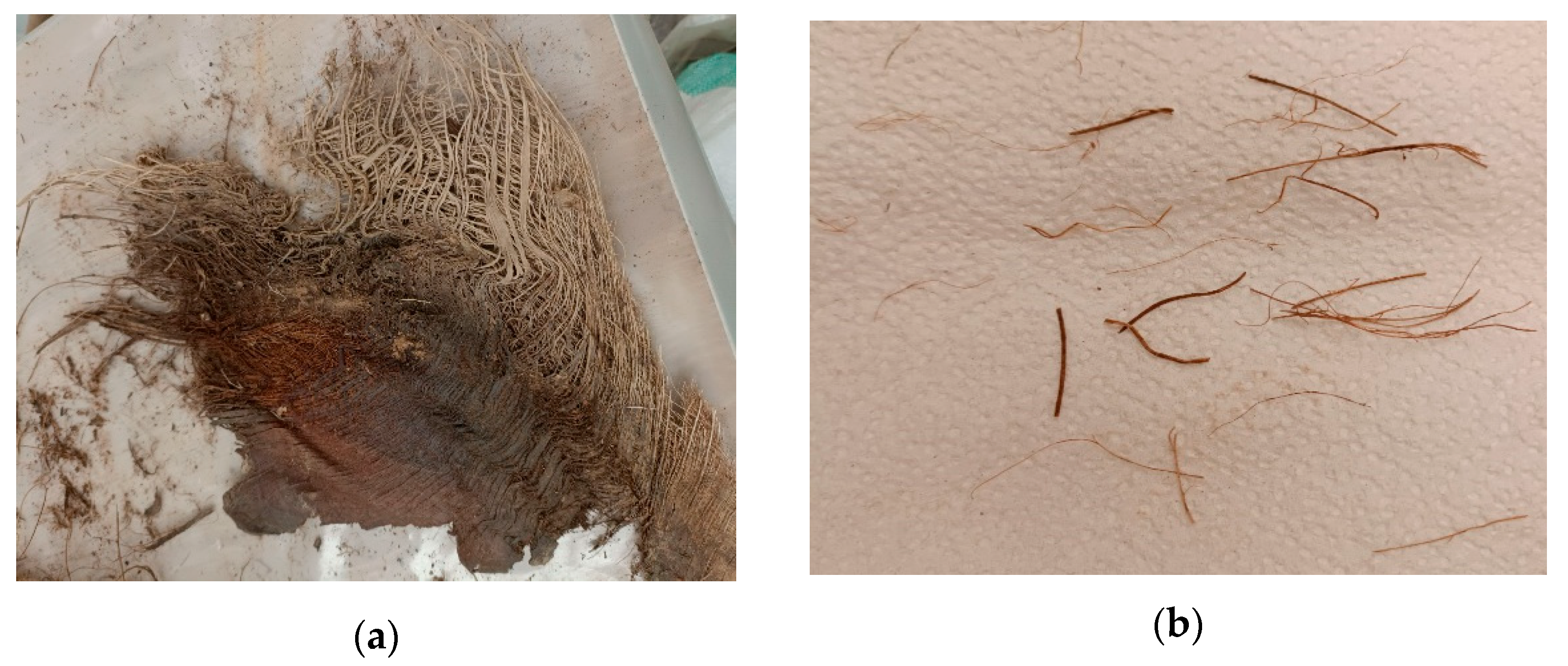 Materials 16 02977 g002 Materials 16 02977 g002