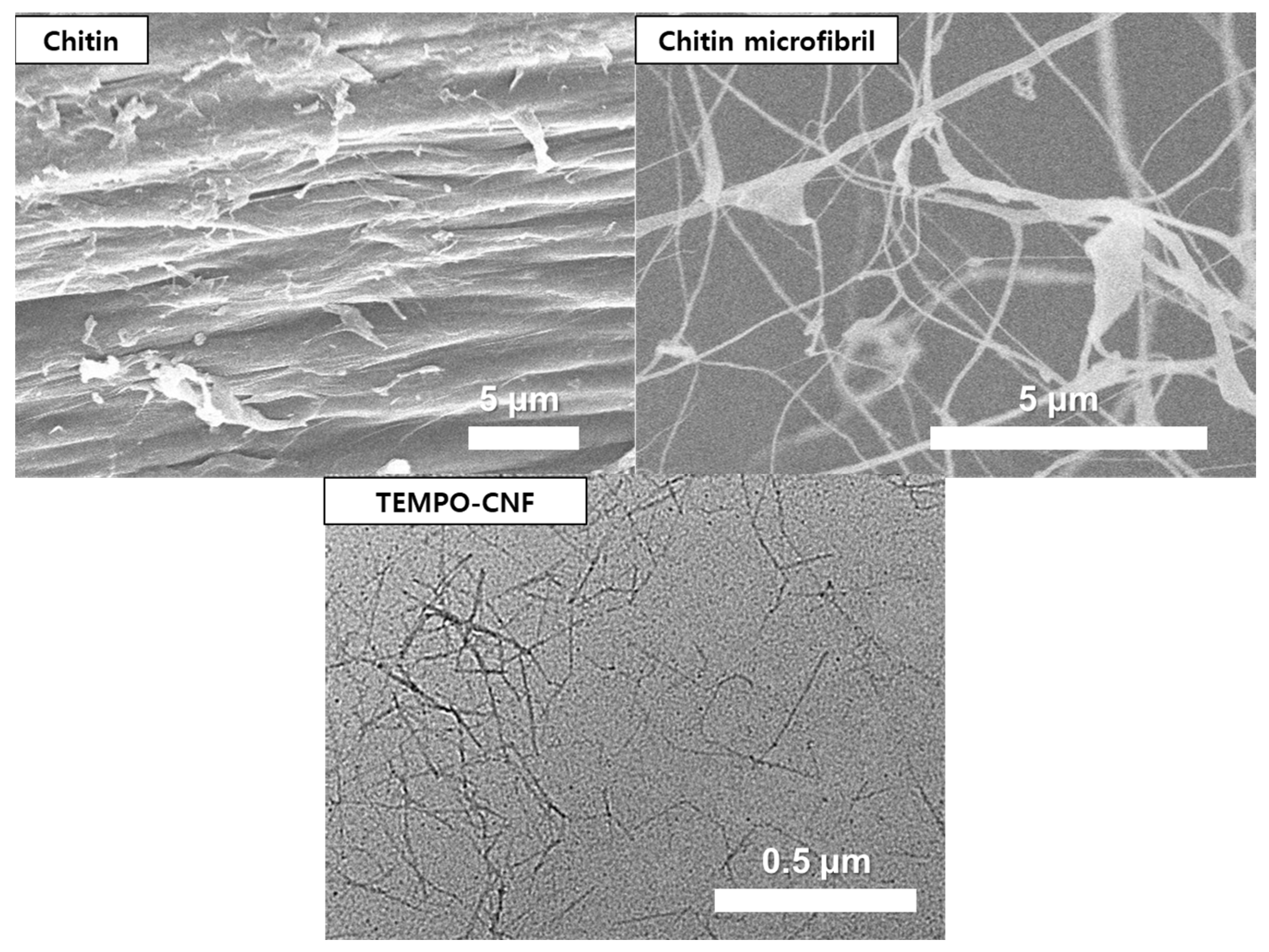 Materials 16 02978 g001 Materials 16 02978 g001