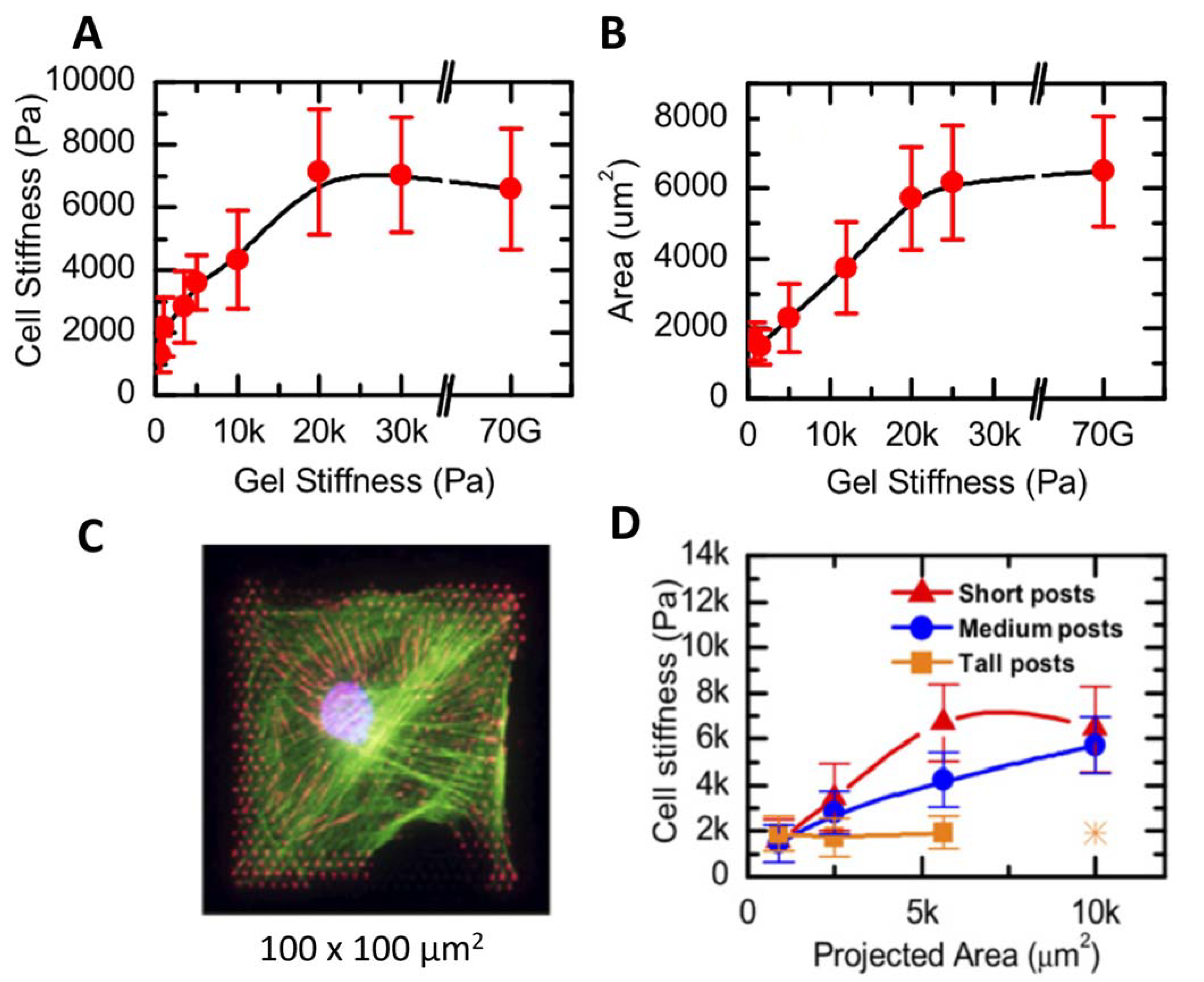 Materials 16 02980 g001 Materials 16 02980 g001