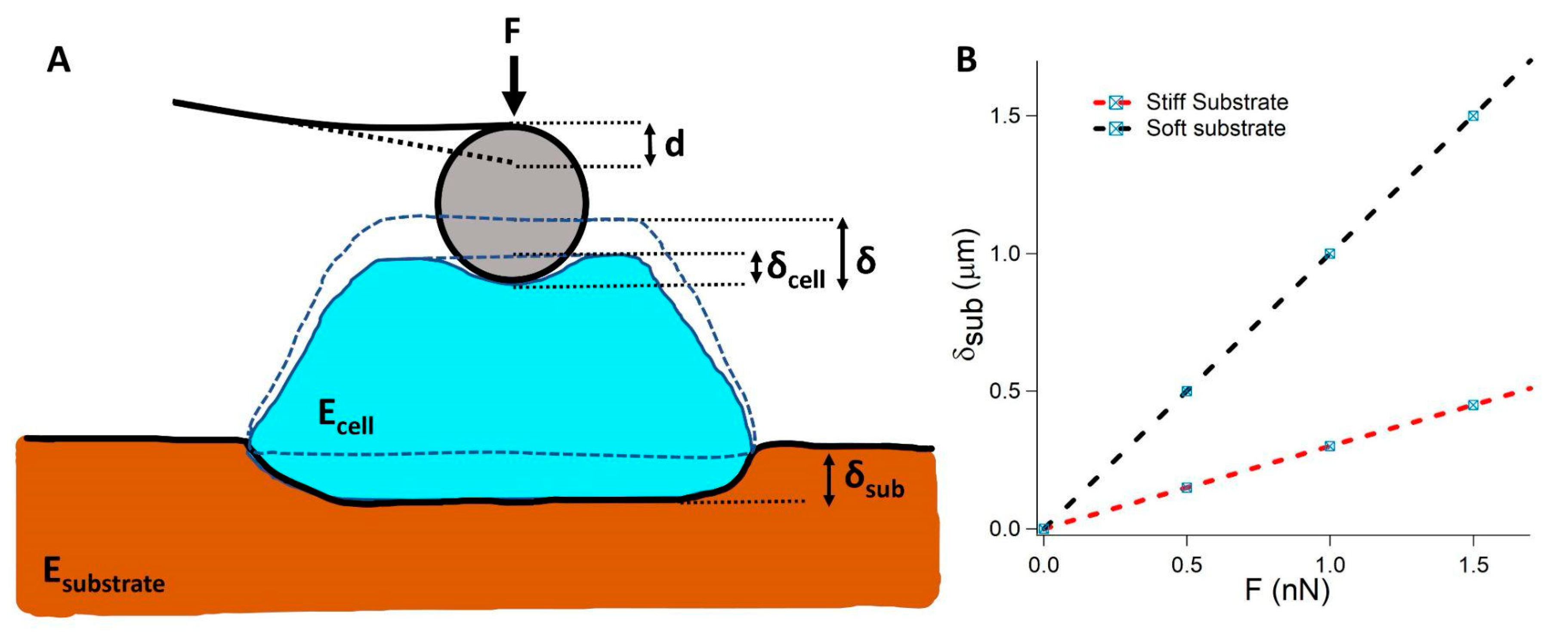 Materials 16 02980 g003 Materials 16 02980 g003