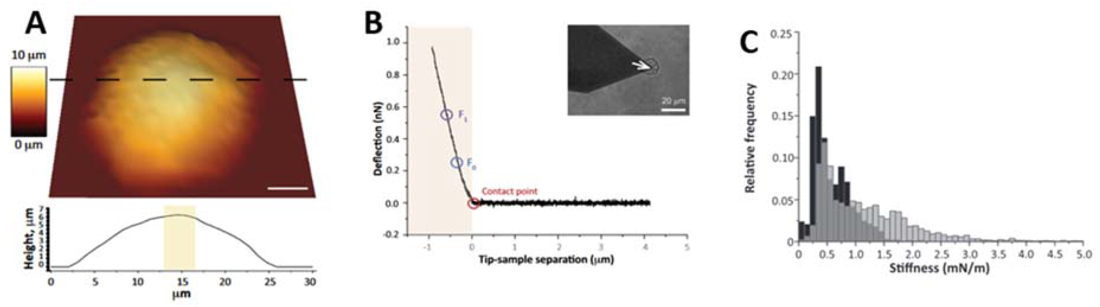 Materials 16 02980 g004 Materials 16 02980 g004