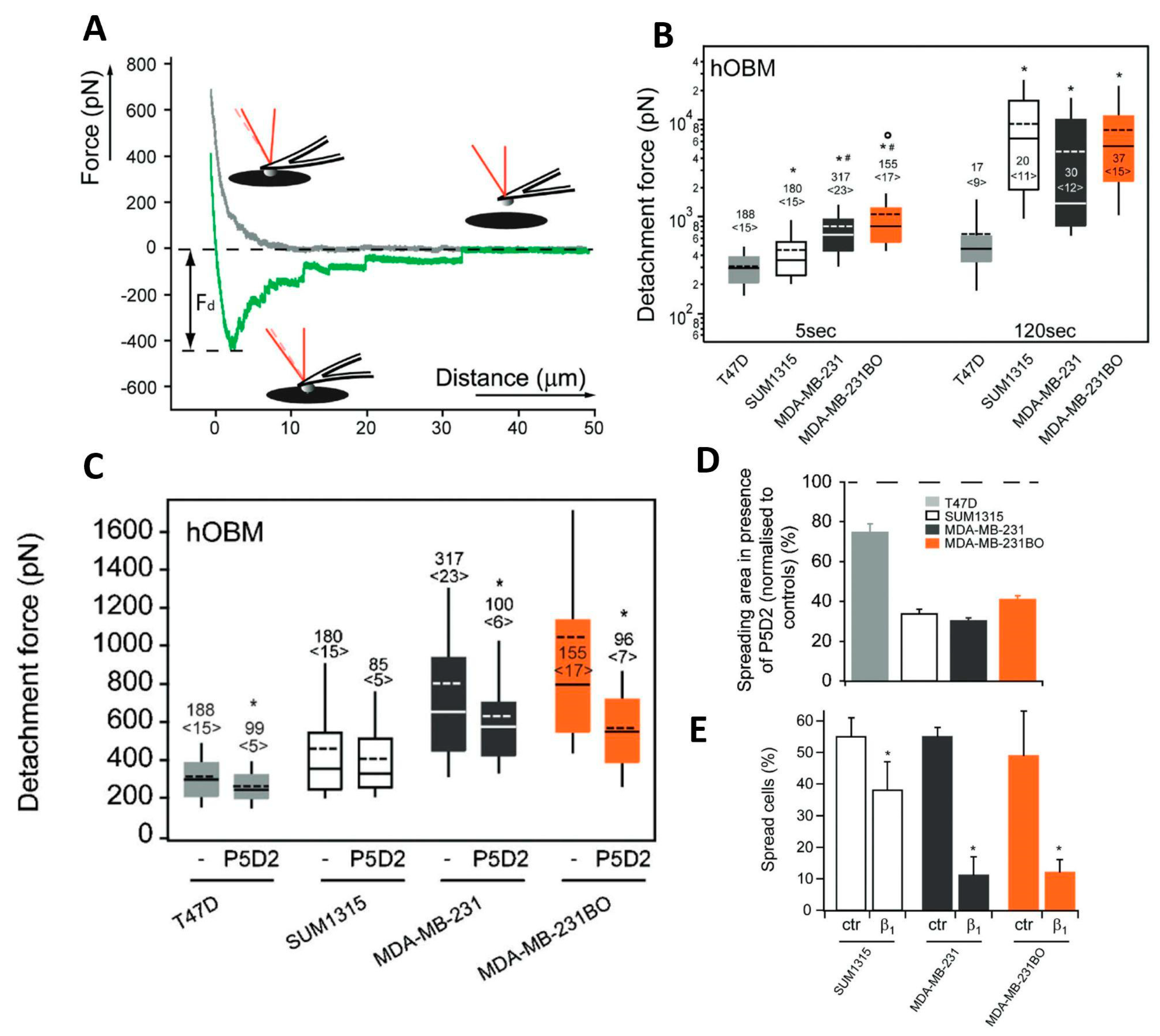 Materials 16 02980 g006 Materials 16 02980 g006