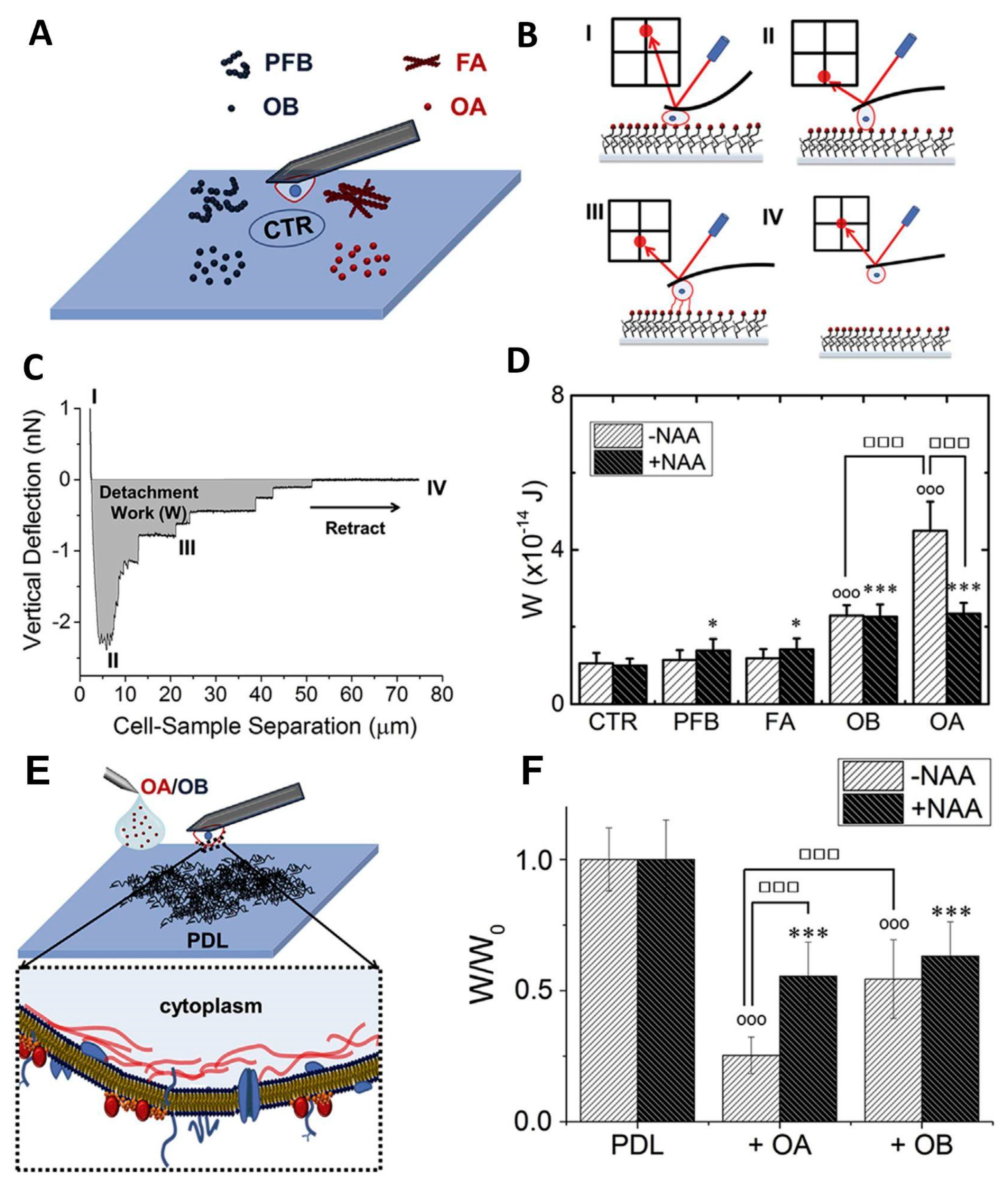 Materials 16 02980 g007 Materials 16 02980 g007