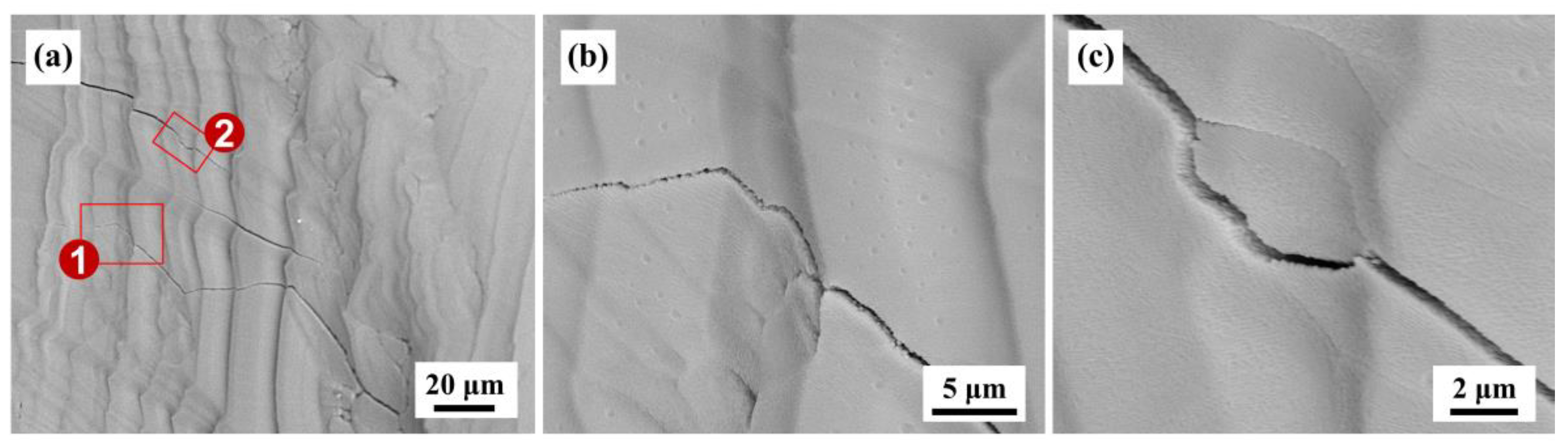 Materials 16 02985 g005
