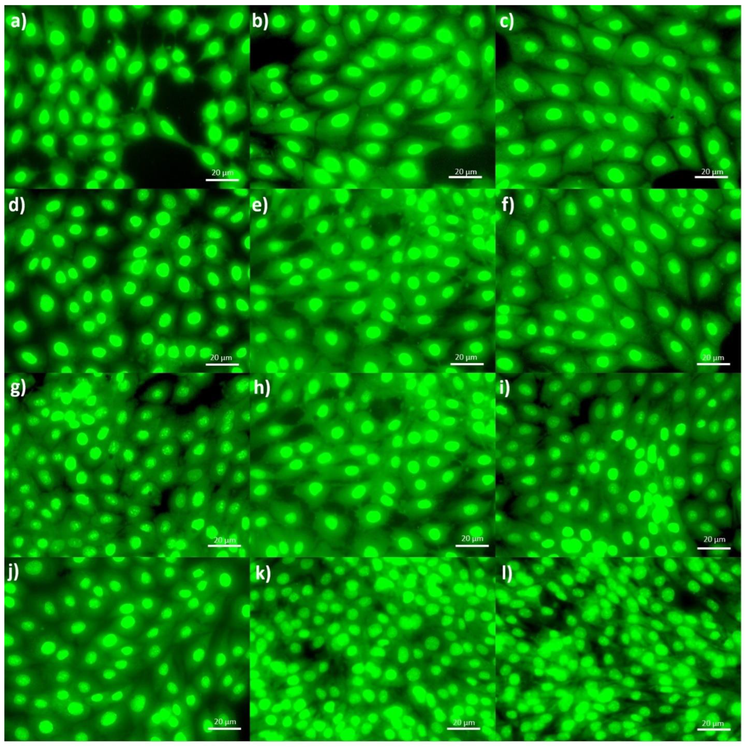 Materials 16 03000 g008