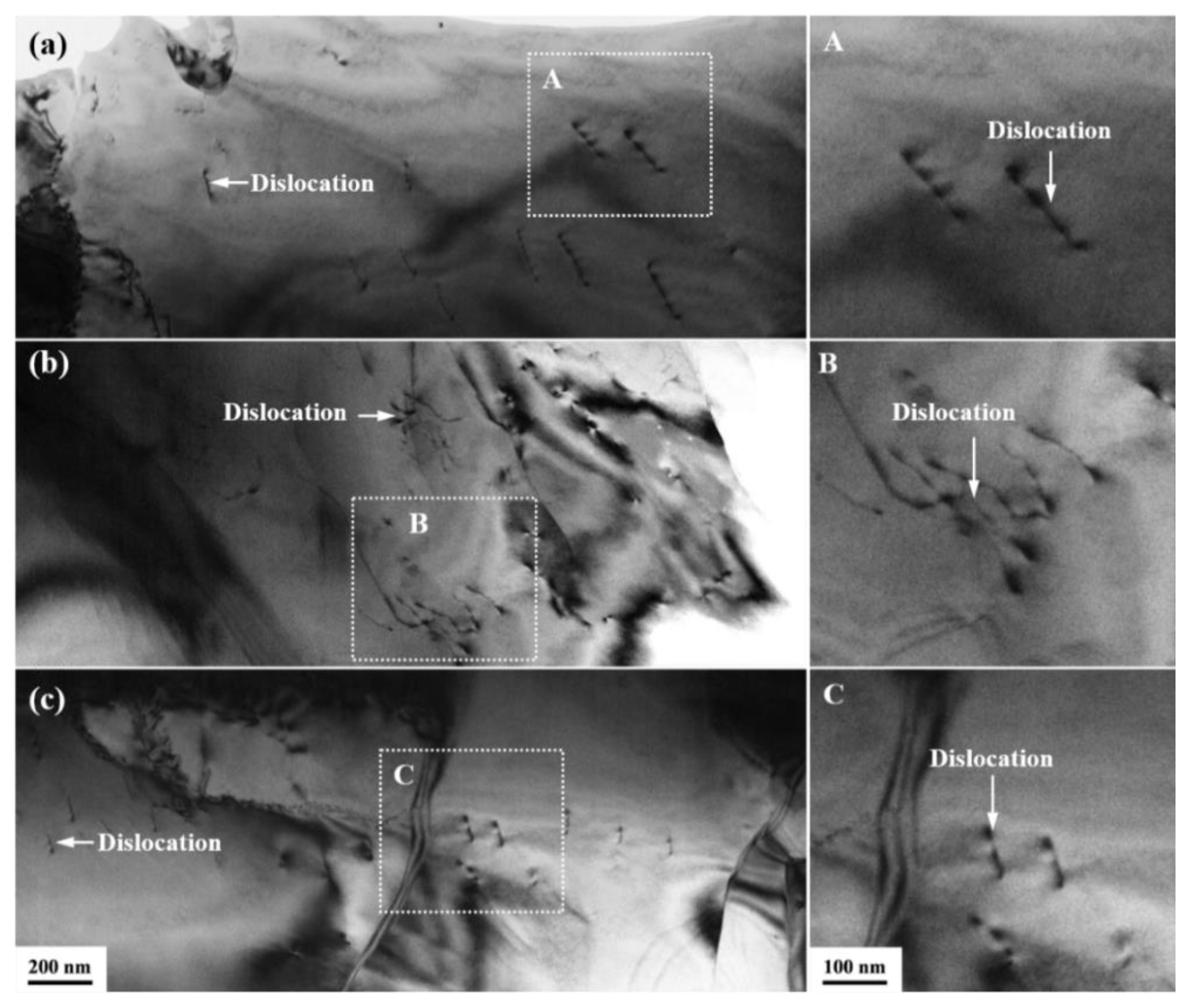 Materials 16 03003 g007