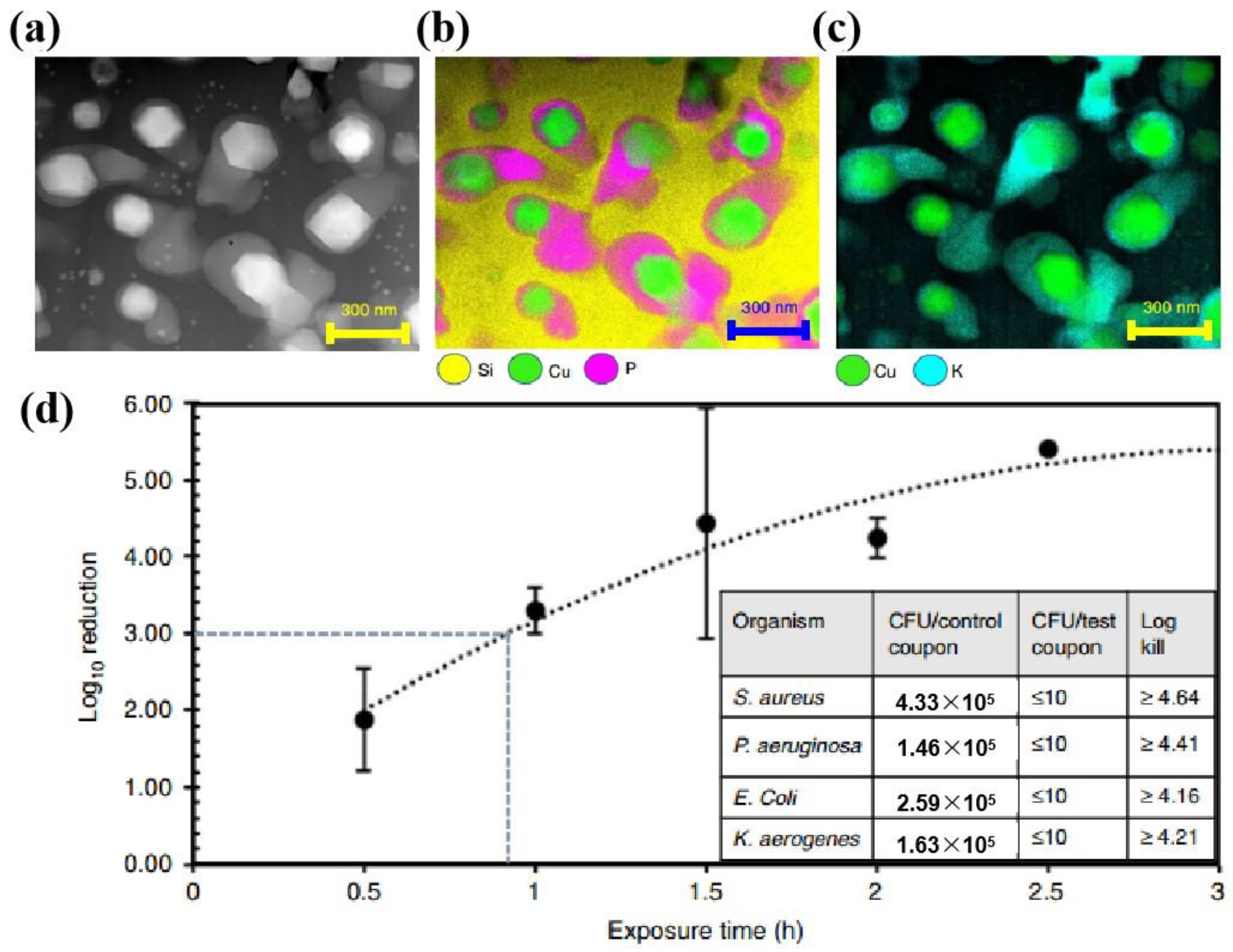 Materials 16 03029 g002