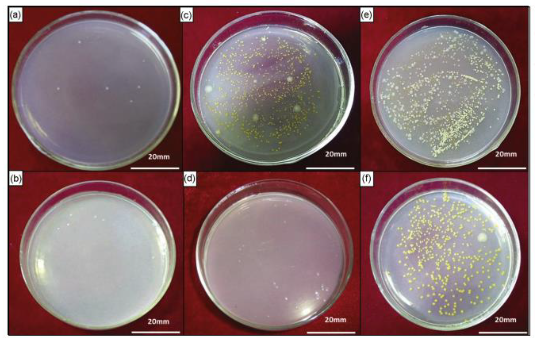 Materials 16 03029 g003