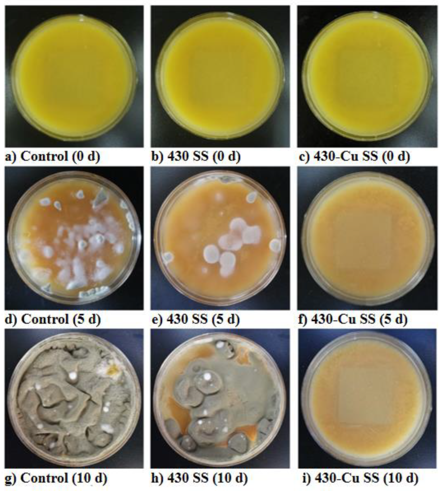 Novel Antibacterial Metals as Food Contact Materials: A Review