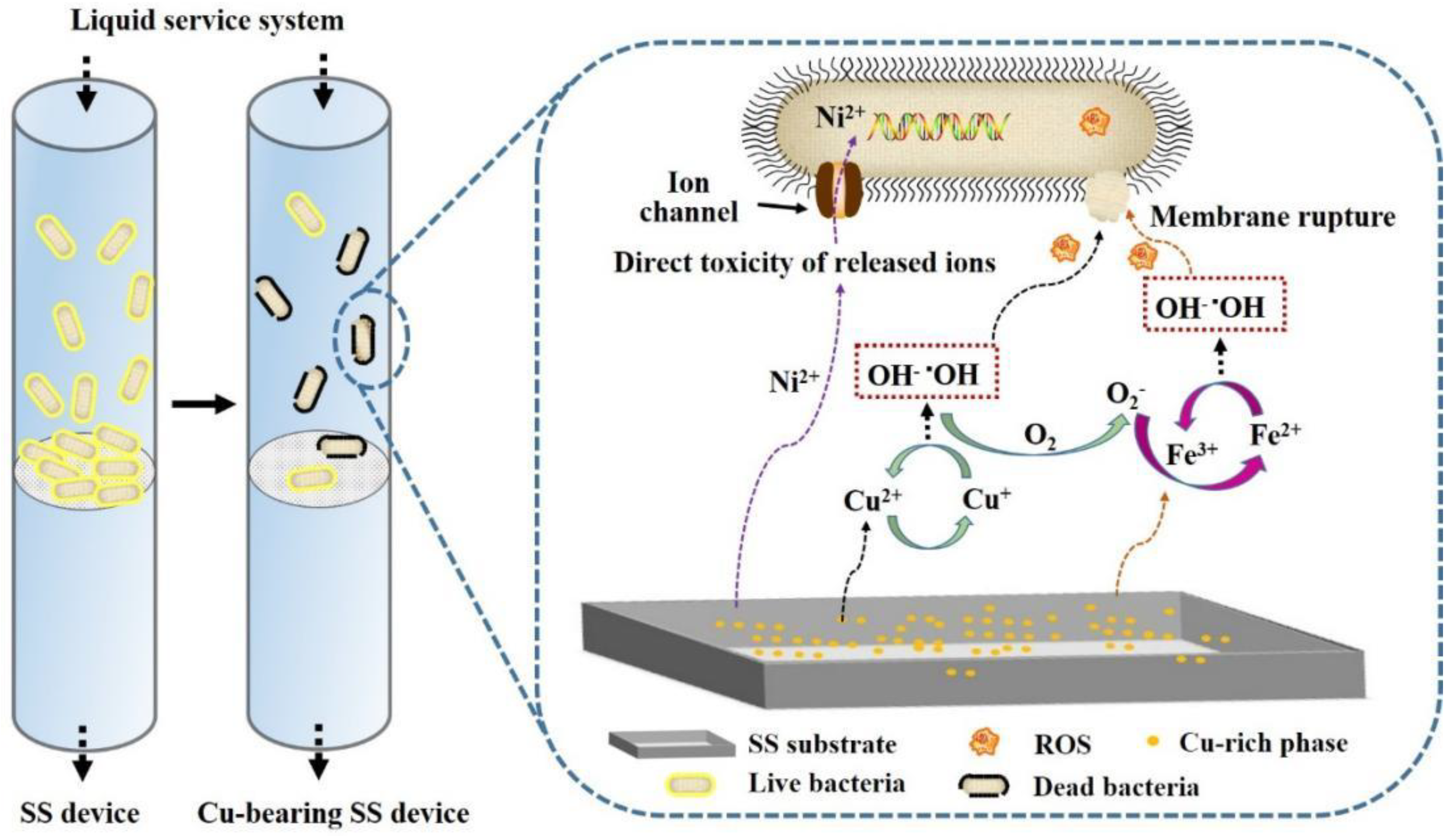 Materials 16 03029 g005