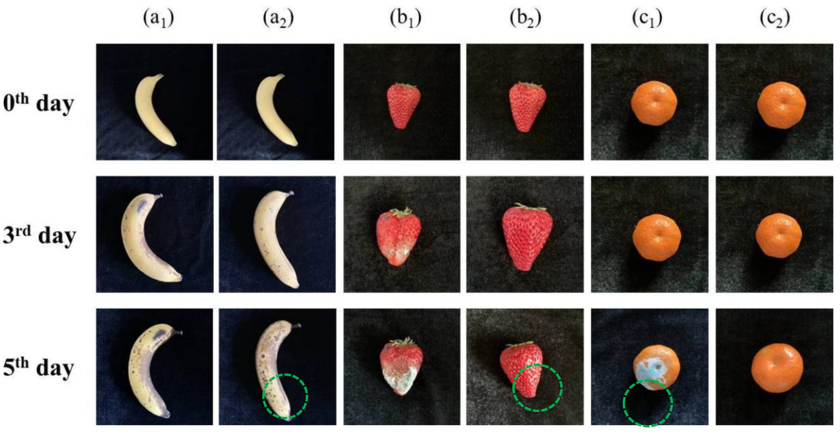 Materials 16 03029 g006