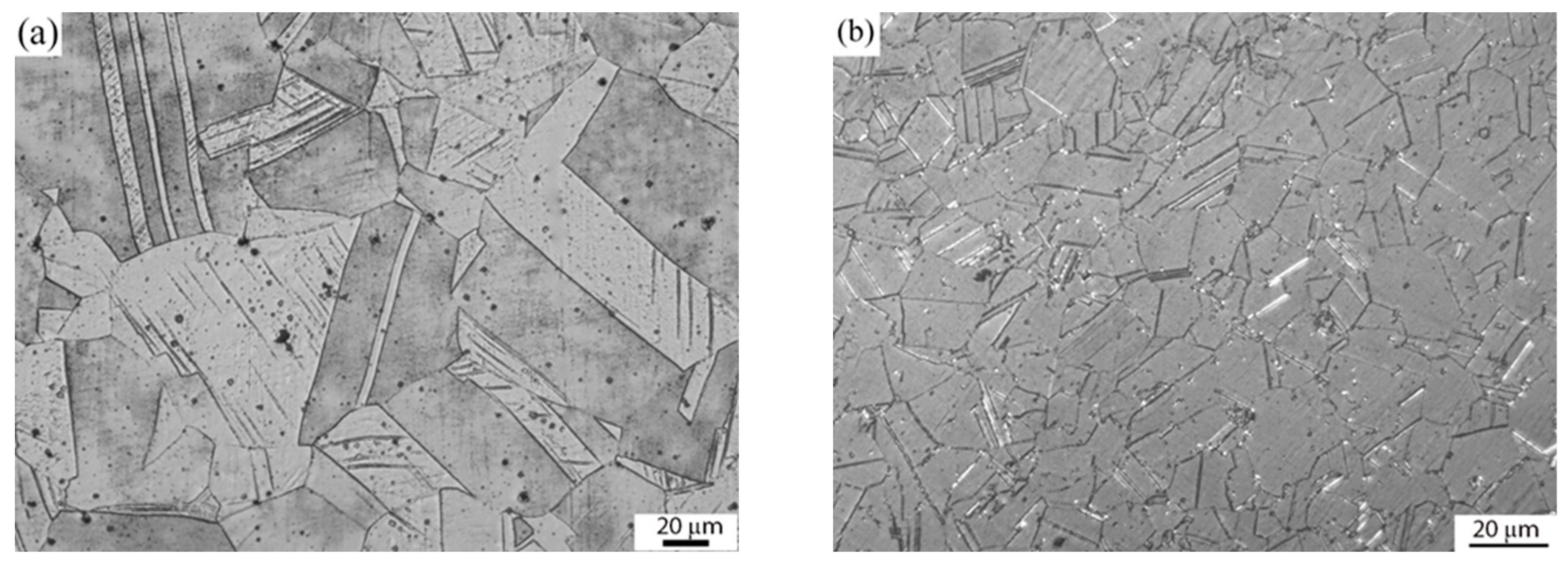 Materials 16 03049 g002a