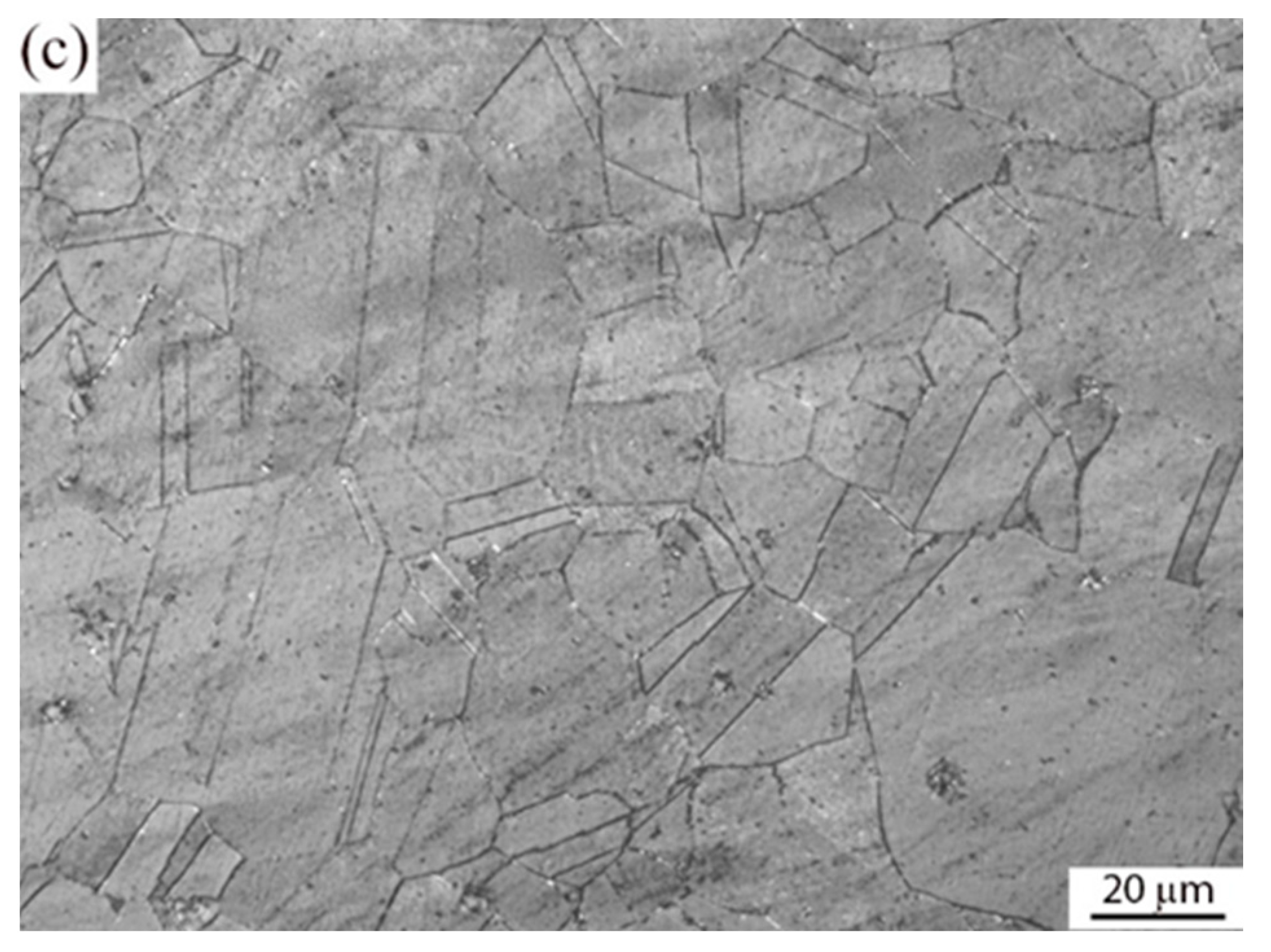 Materials 16 03049 g002b