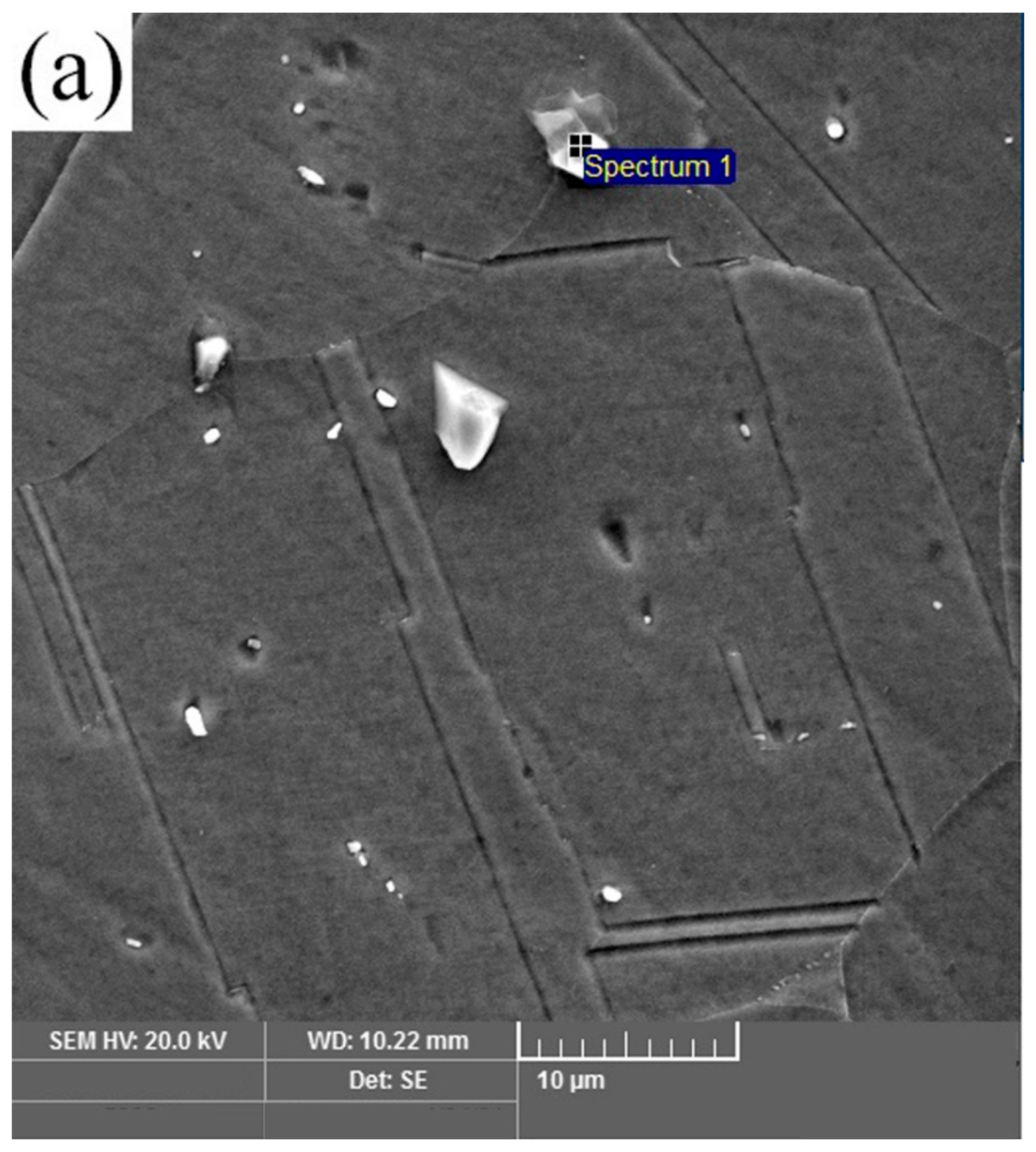 Materials 16 03049 g003a