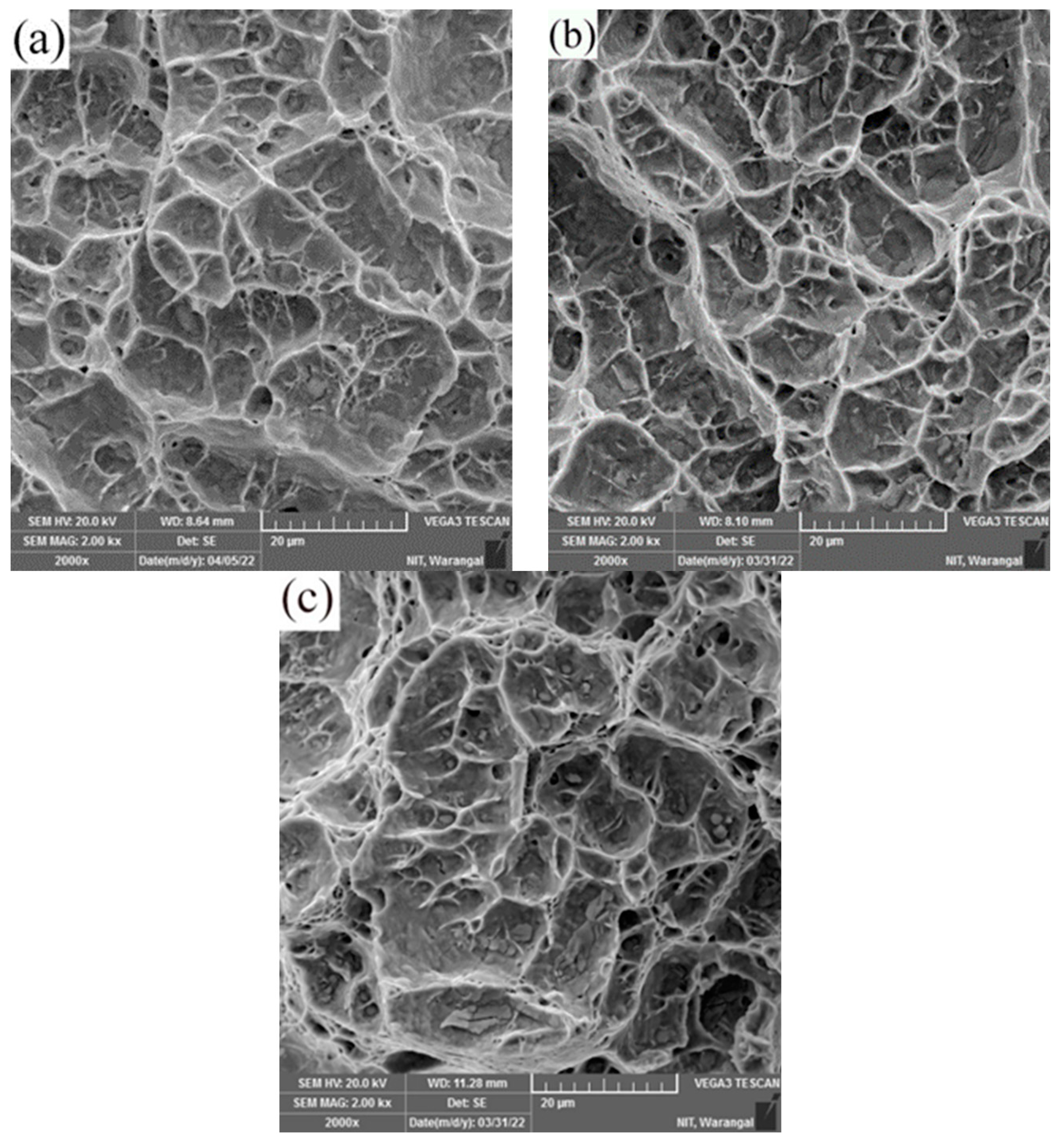Materials 16 03049 g013