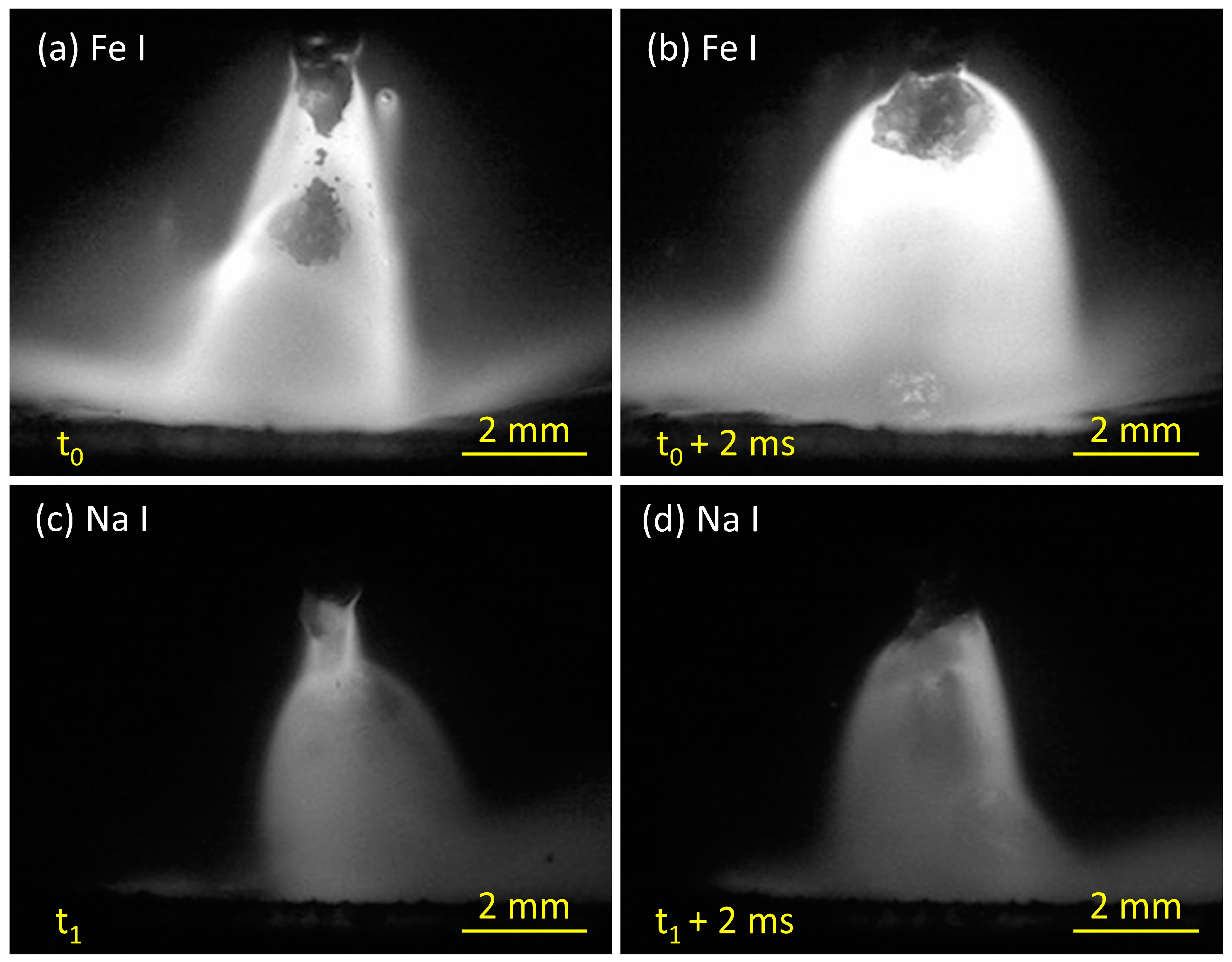 Materials 16 03053 g006