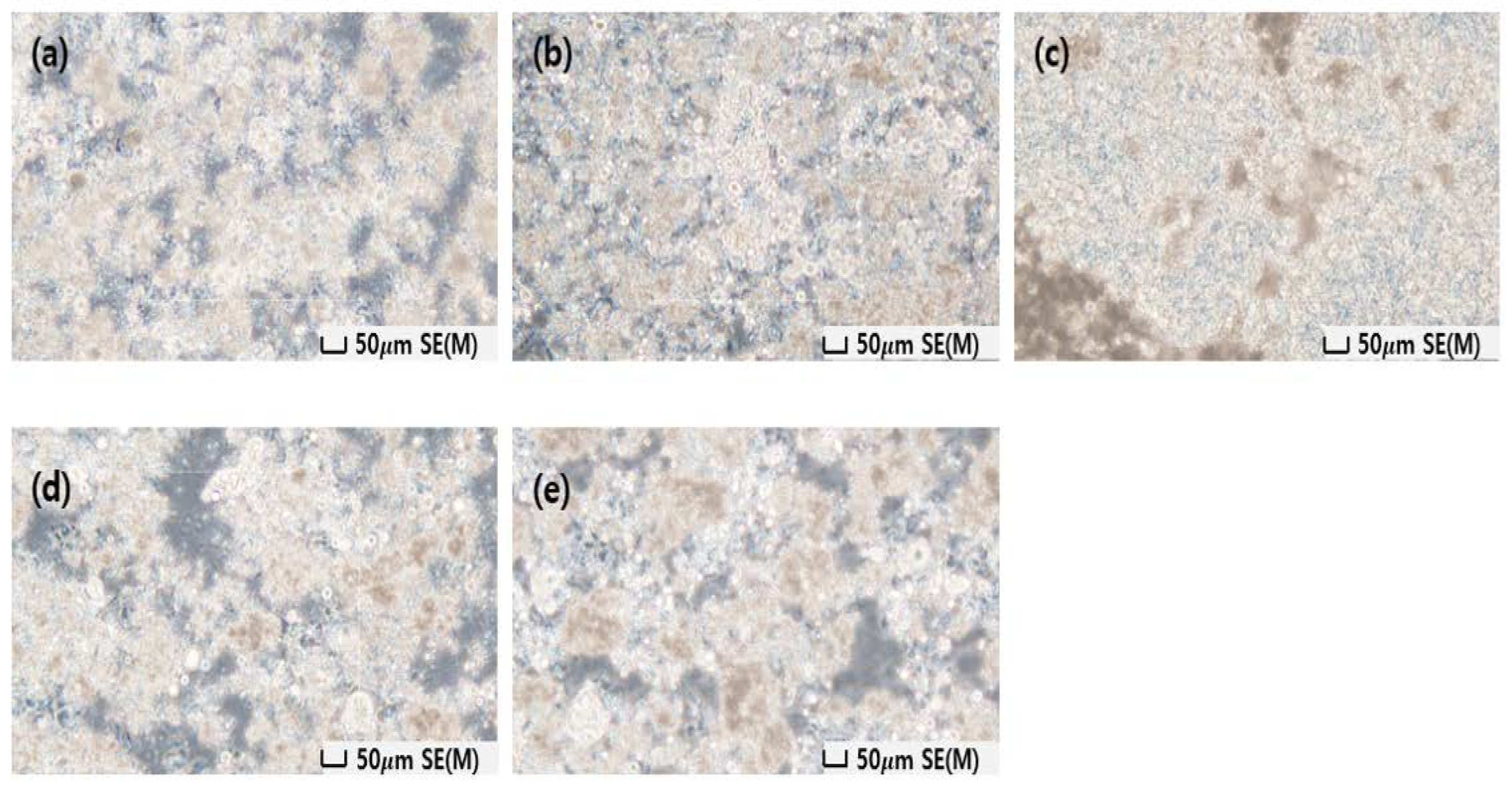 Materials 16 03059 g008 Materials 16 03059 g008