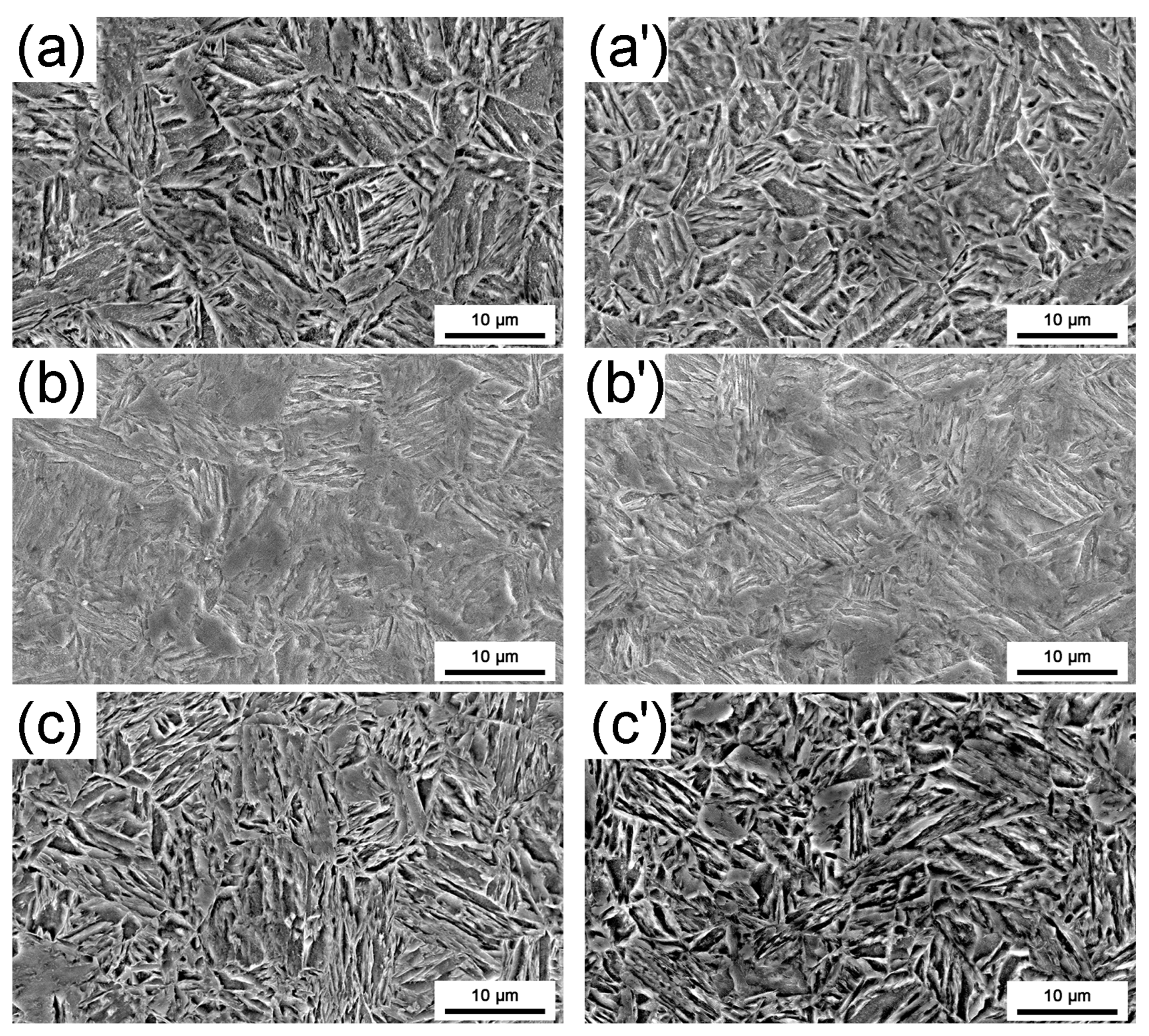 Materials 16 03064 g003 Materials 16 03064 g003