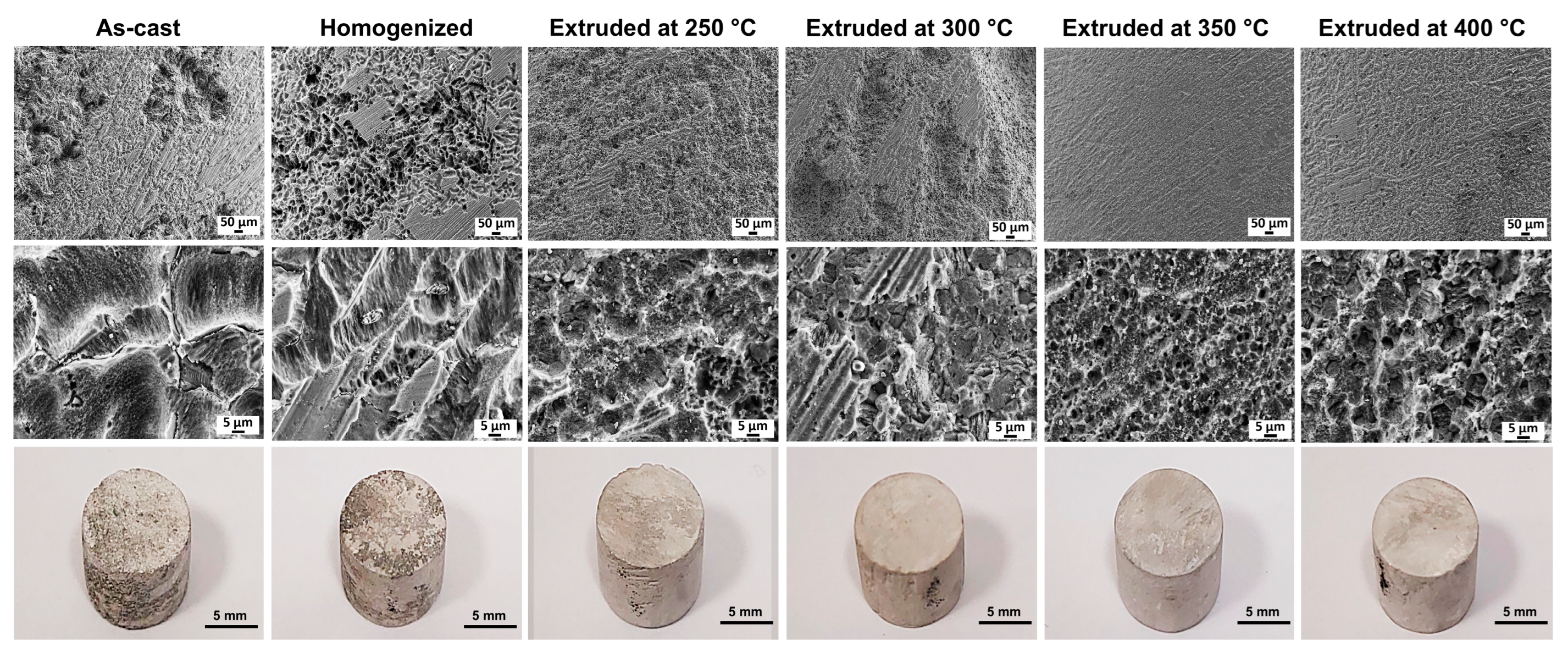 Materials 16 03075 g012