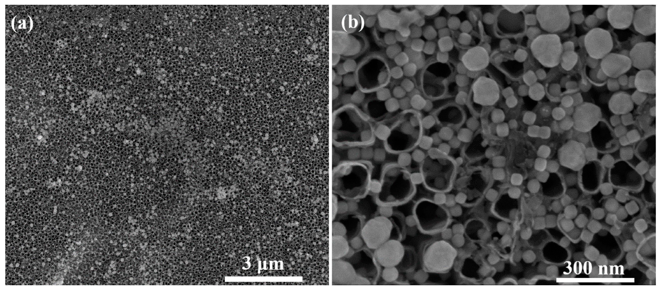 Materials 16 03076 g007 Materials 16 03076 g007