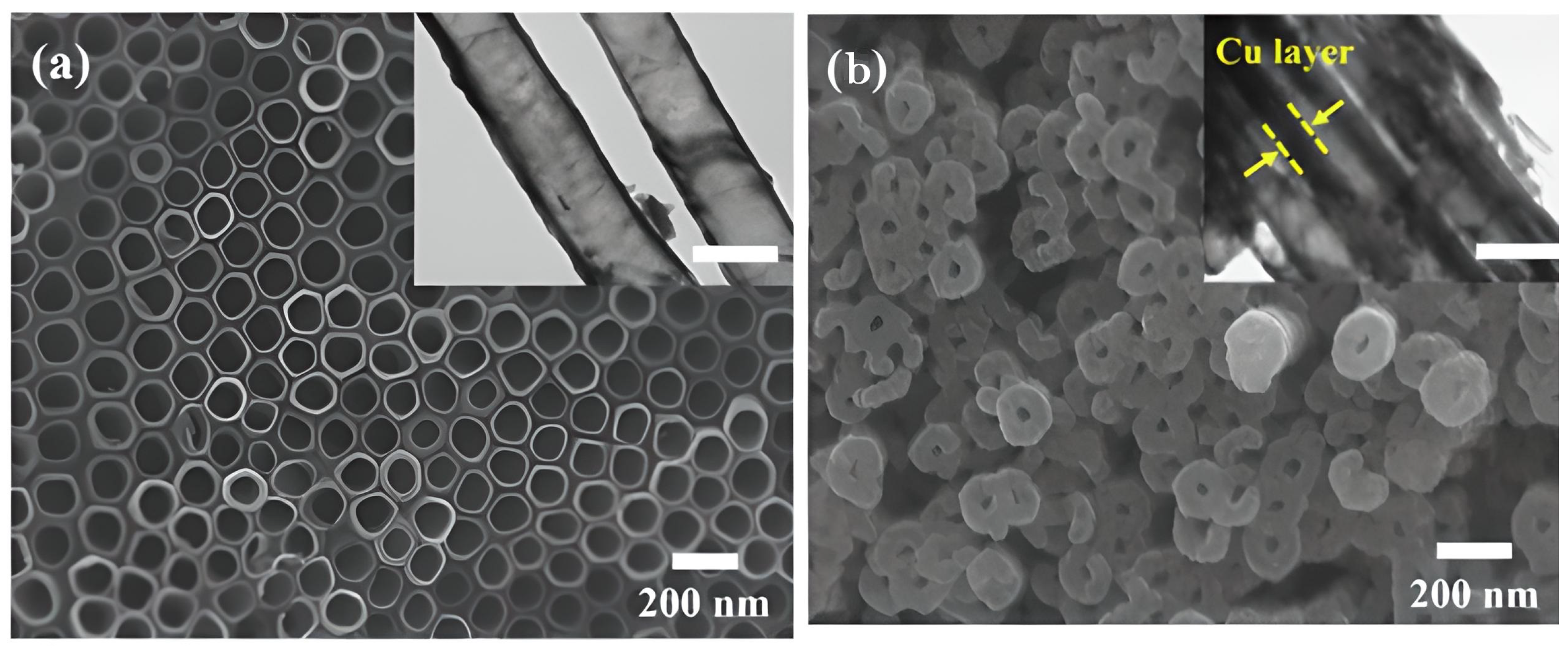 Materials 16 03076 g010 Materials 16 03076 g010
