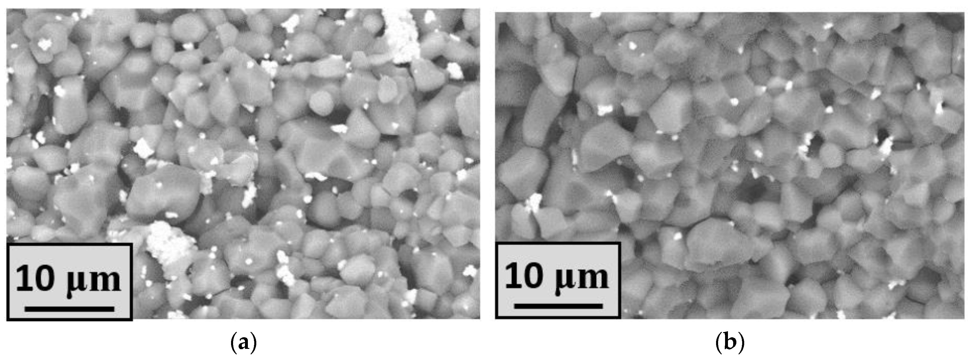 Materials 16 03077 g003a Materials 16 03077 g003a