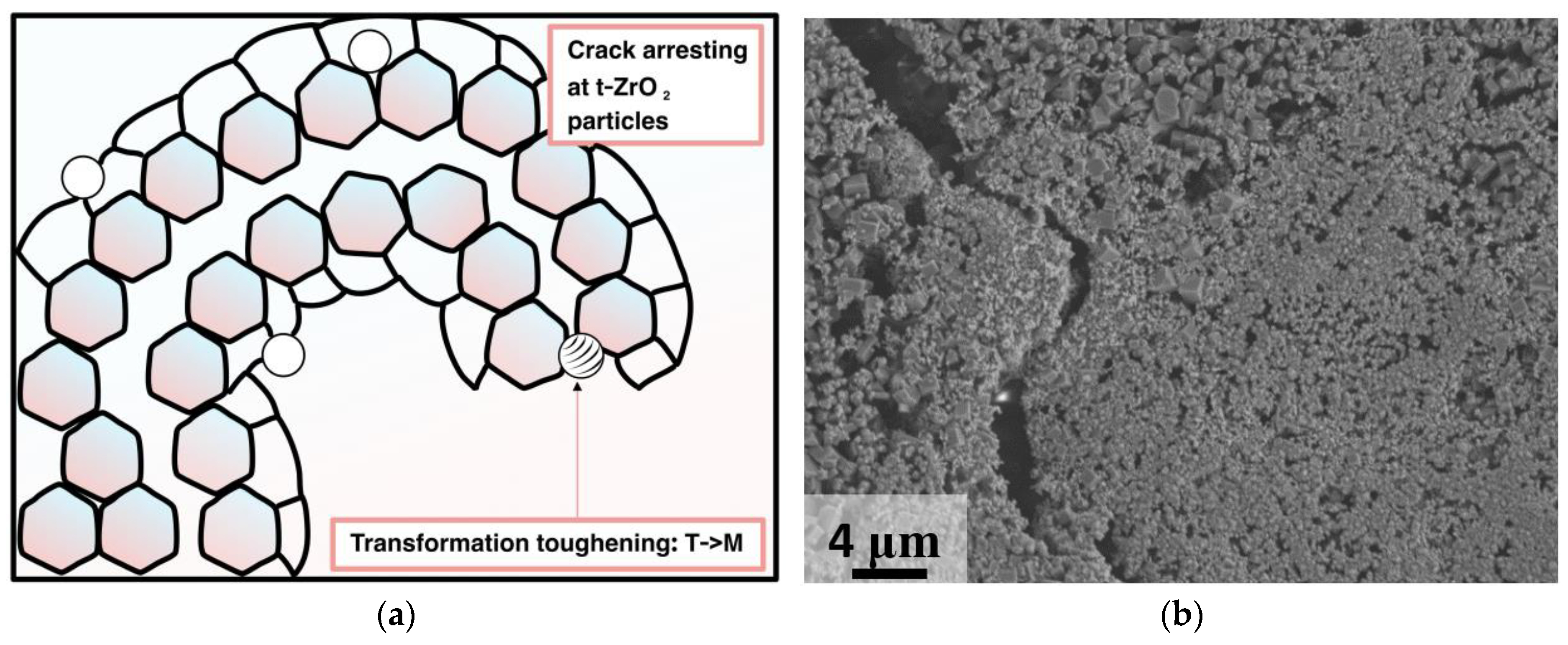 Materials 16 03077 g012 Materials 16 03077 g012