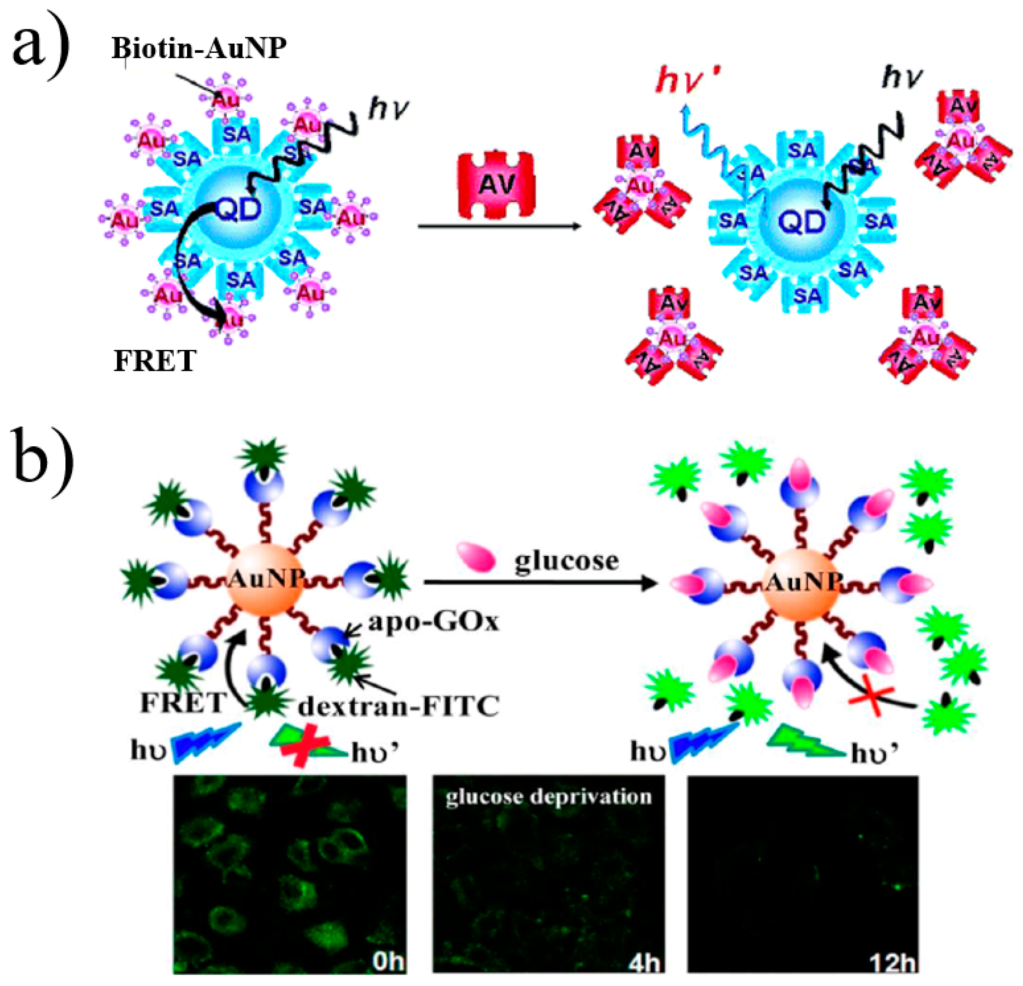 Materials 16 03083 g005 Materials 16 03083 g005