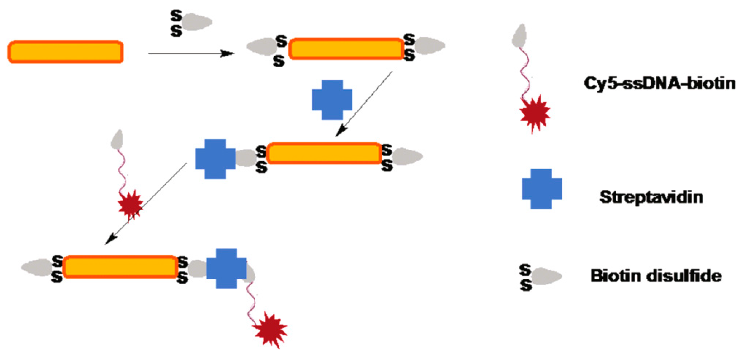 Materials 16 03083 g033 Materials 16 03083 g033