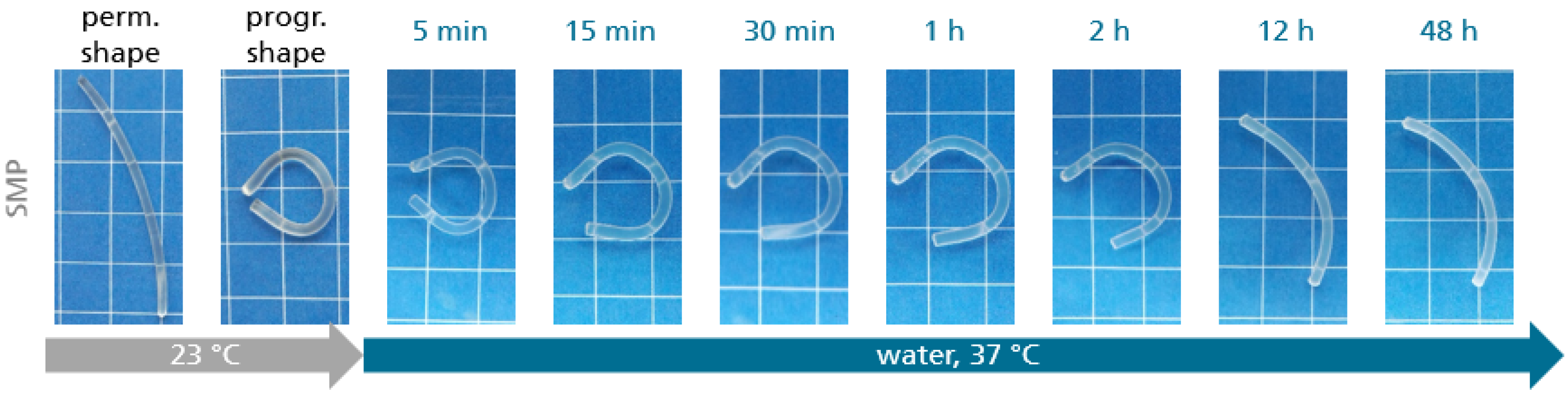 Materials 16 03094 g005