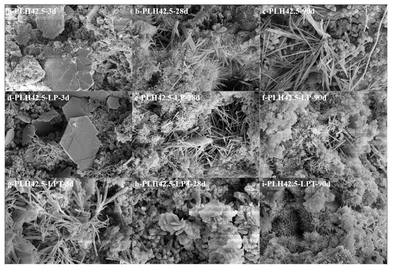 Materials 16 03110 g007 Materials 16 03110 g007