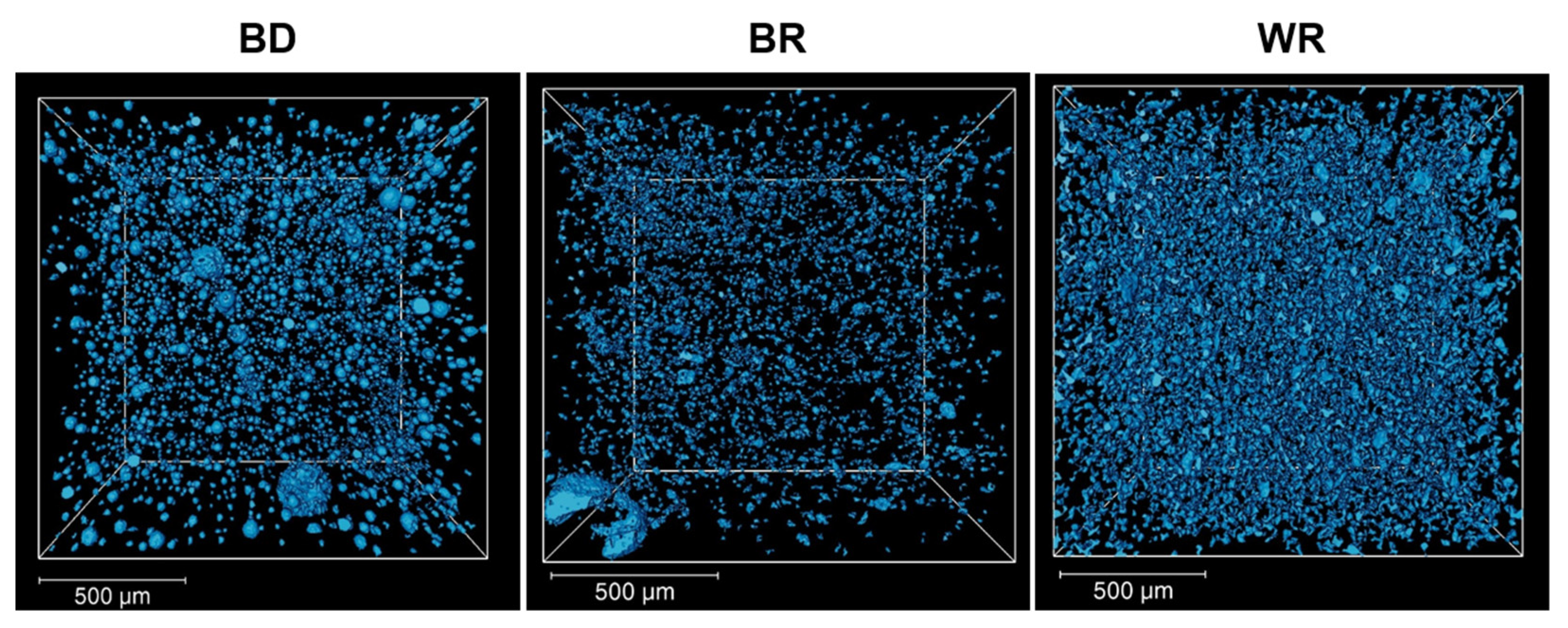 Materials 16 03111 g001 Materials 16 03111 g001