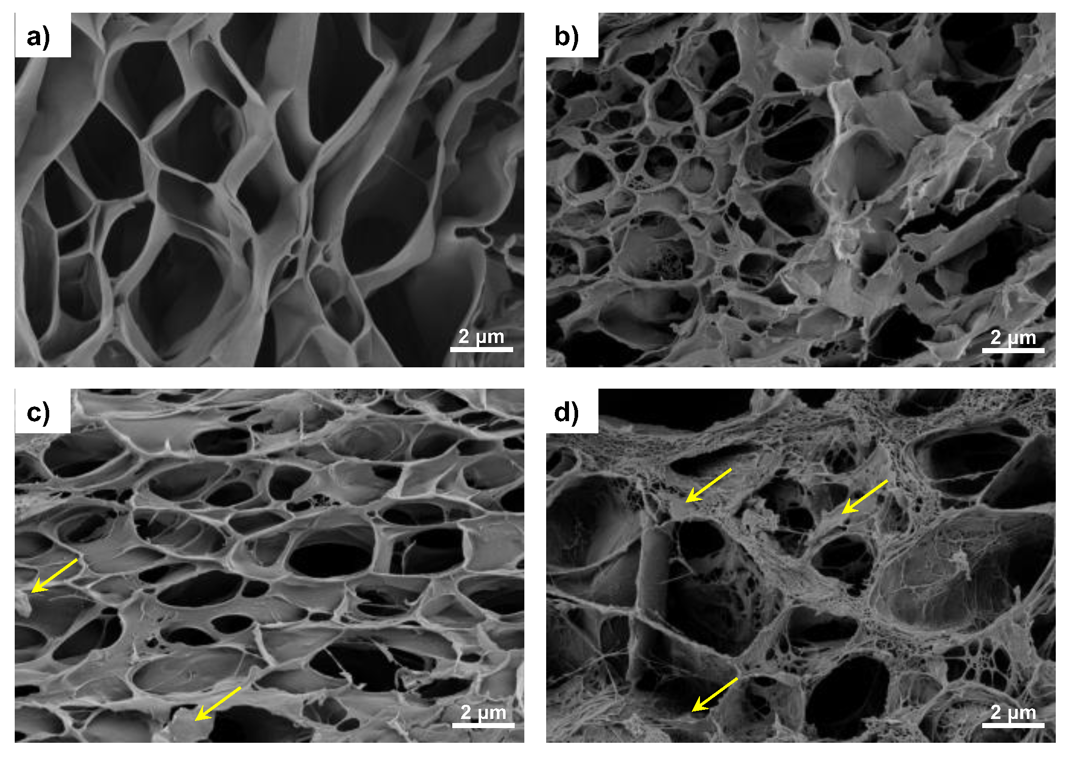 Materials 16 03114 g003