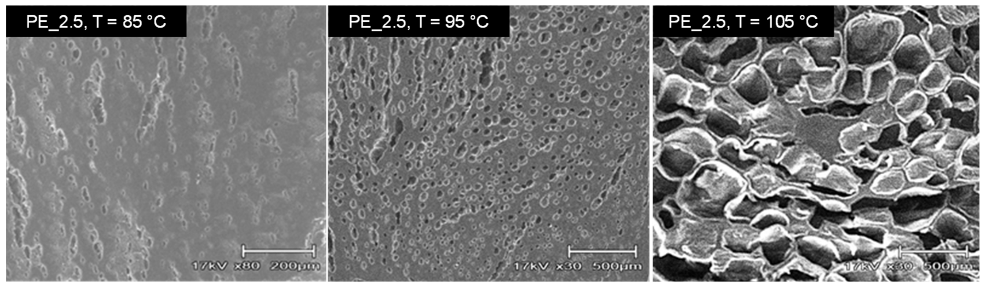 Materials 16 03122 g004