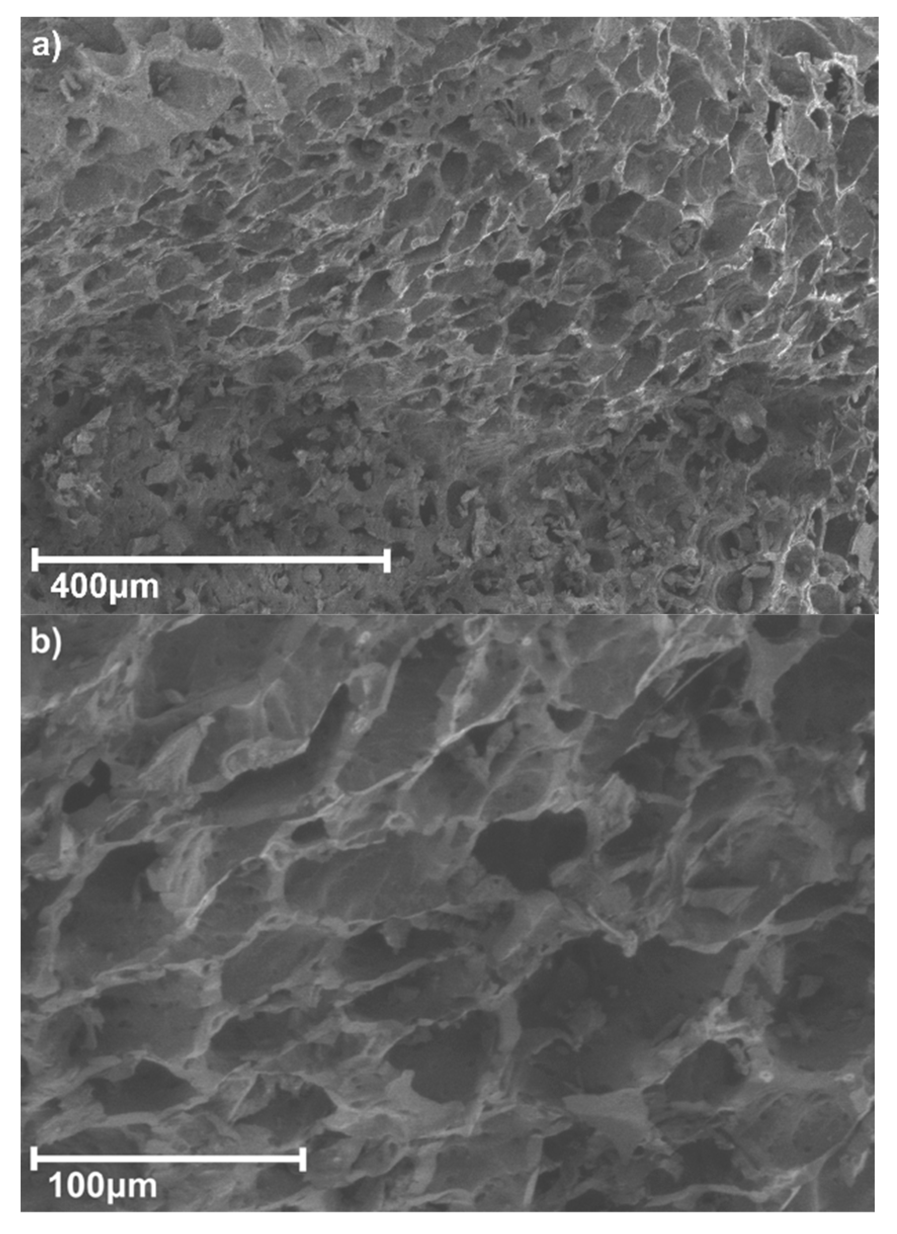 Materials 16 03127 g001