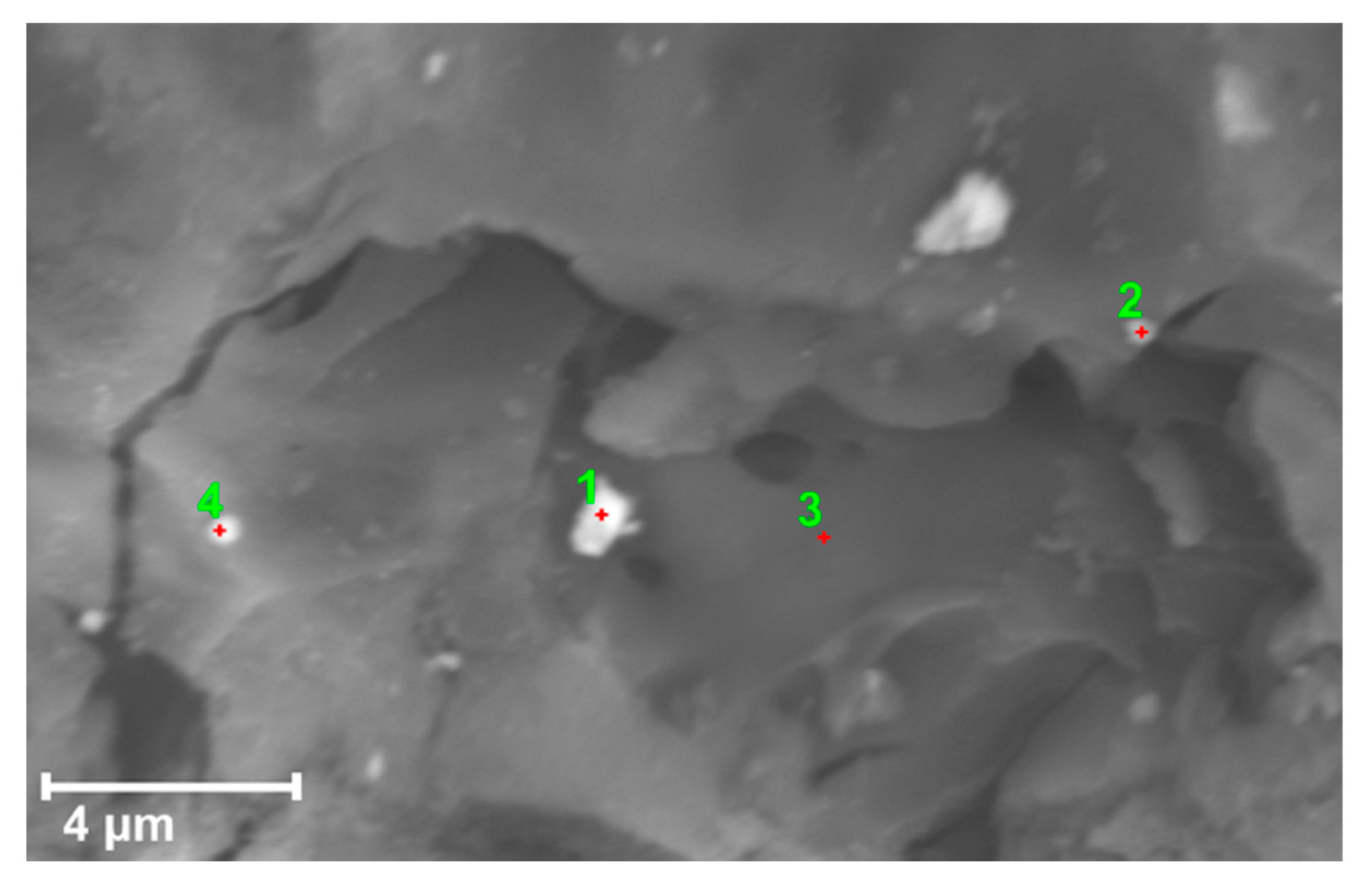 Materials 16 03127 g003