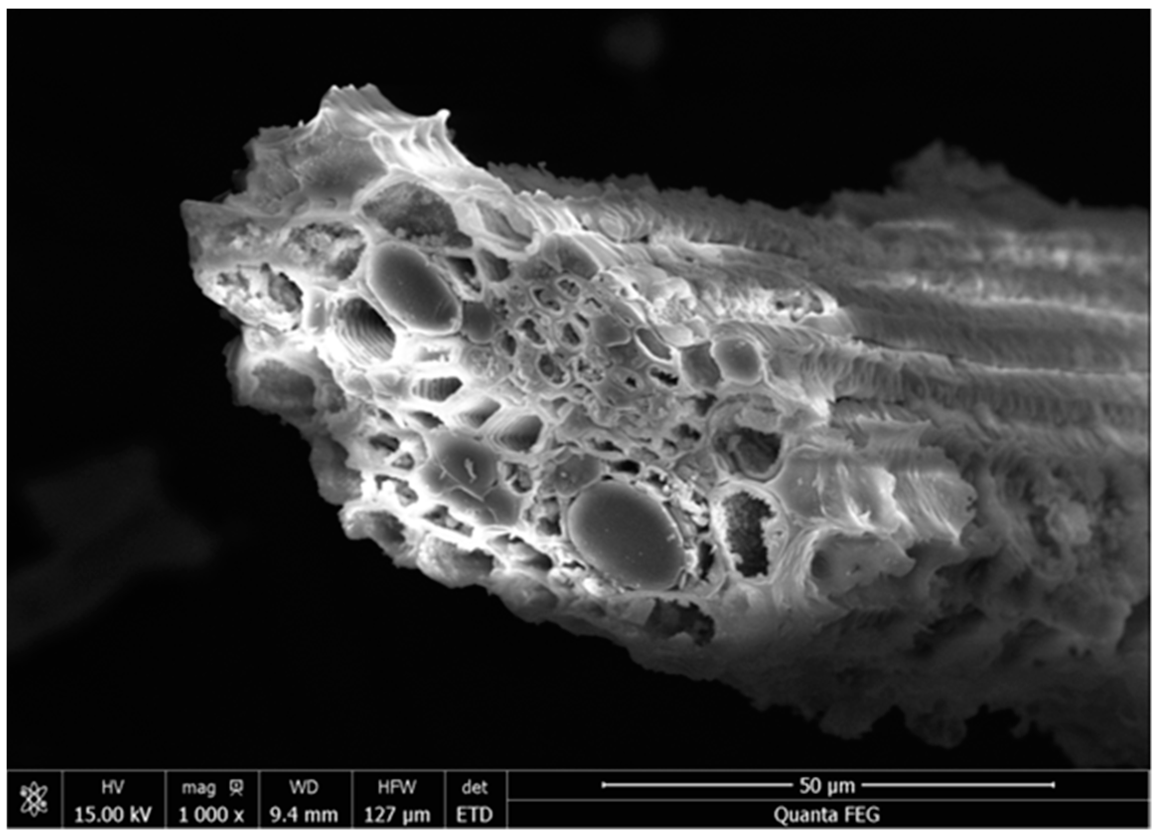 Materials 16 03148 g001