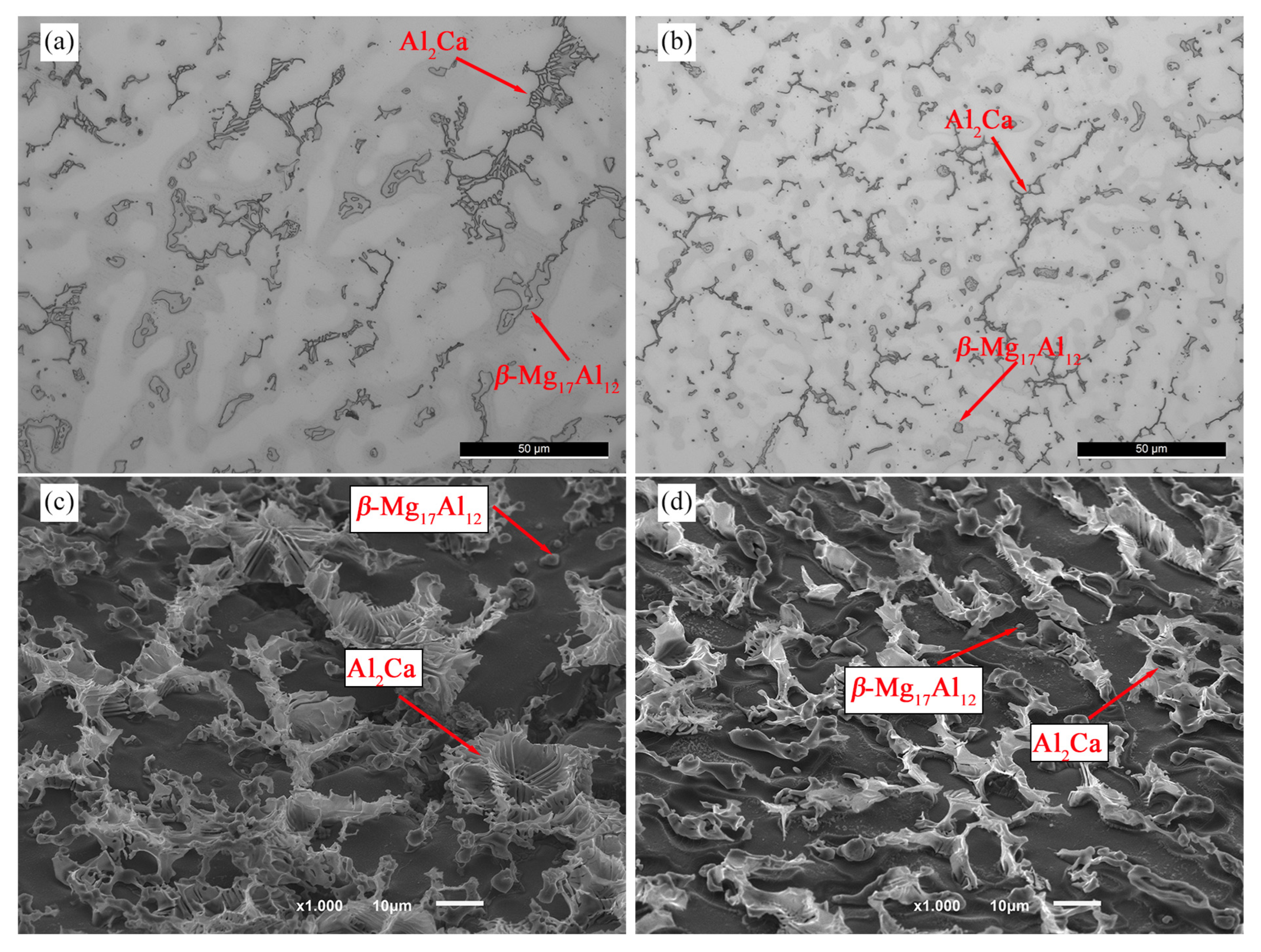 Materials 16 03152 g001 Materials 16 03152 g001