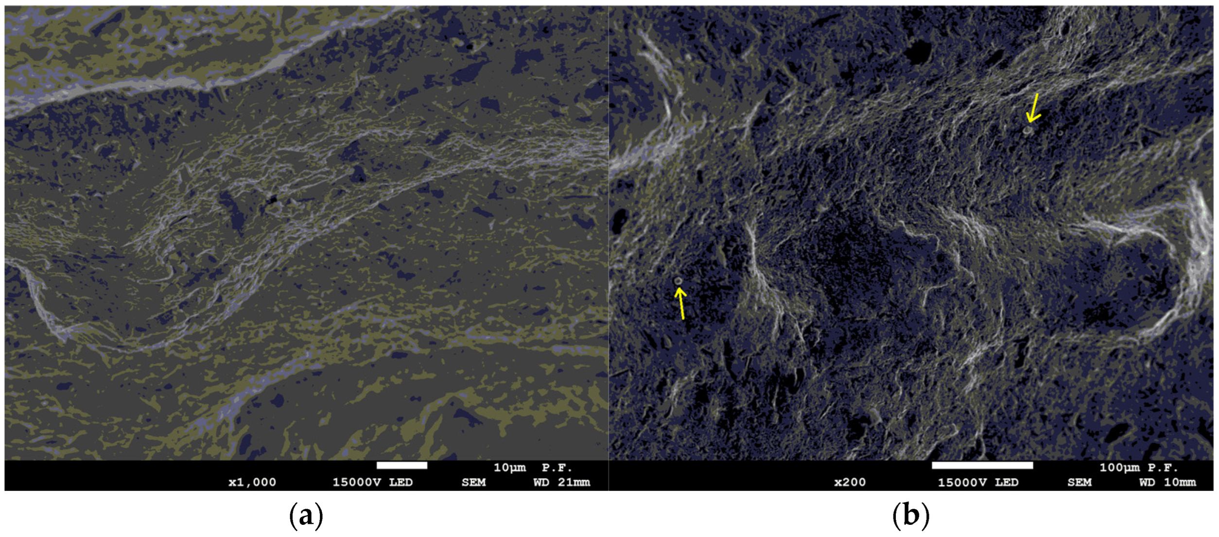 Materials 16 03167 g005a Materials 16 03167 g005a