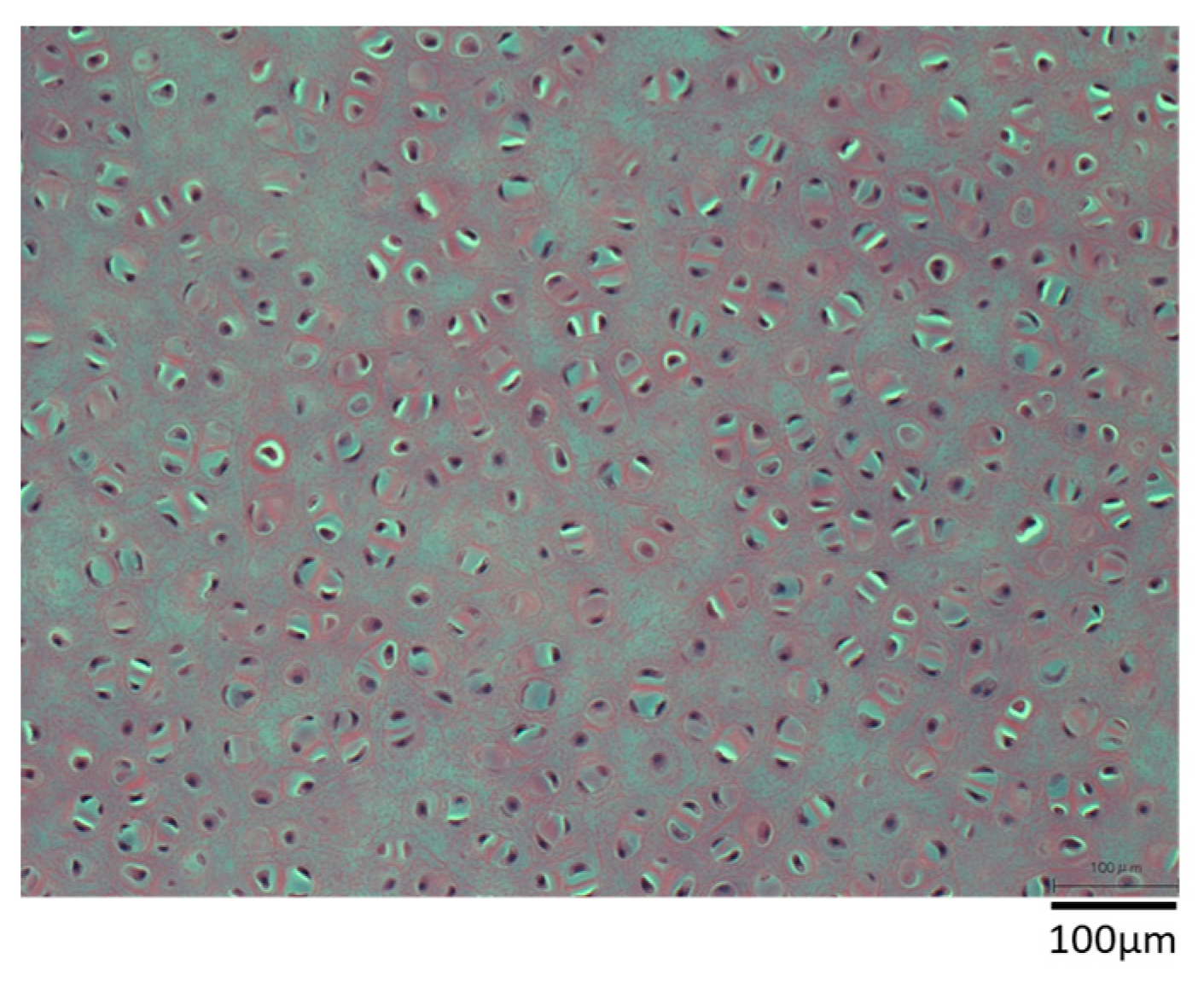 Materials 16 03172 g005 Materials 16 03172 g005